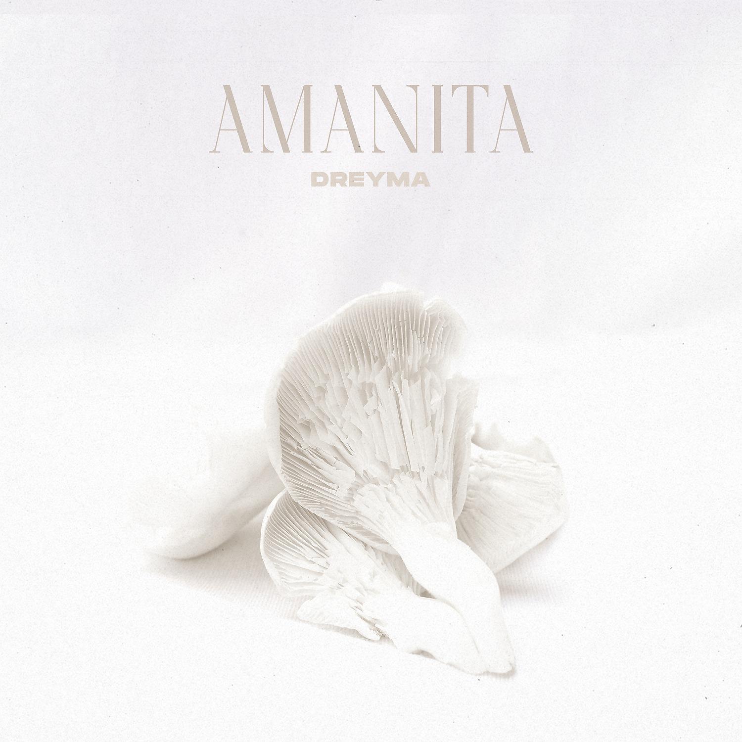 Постер альбома Amanita