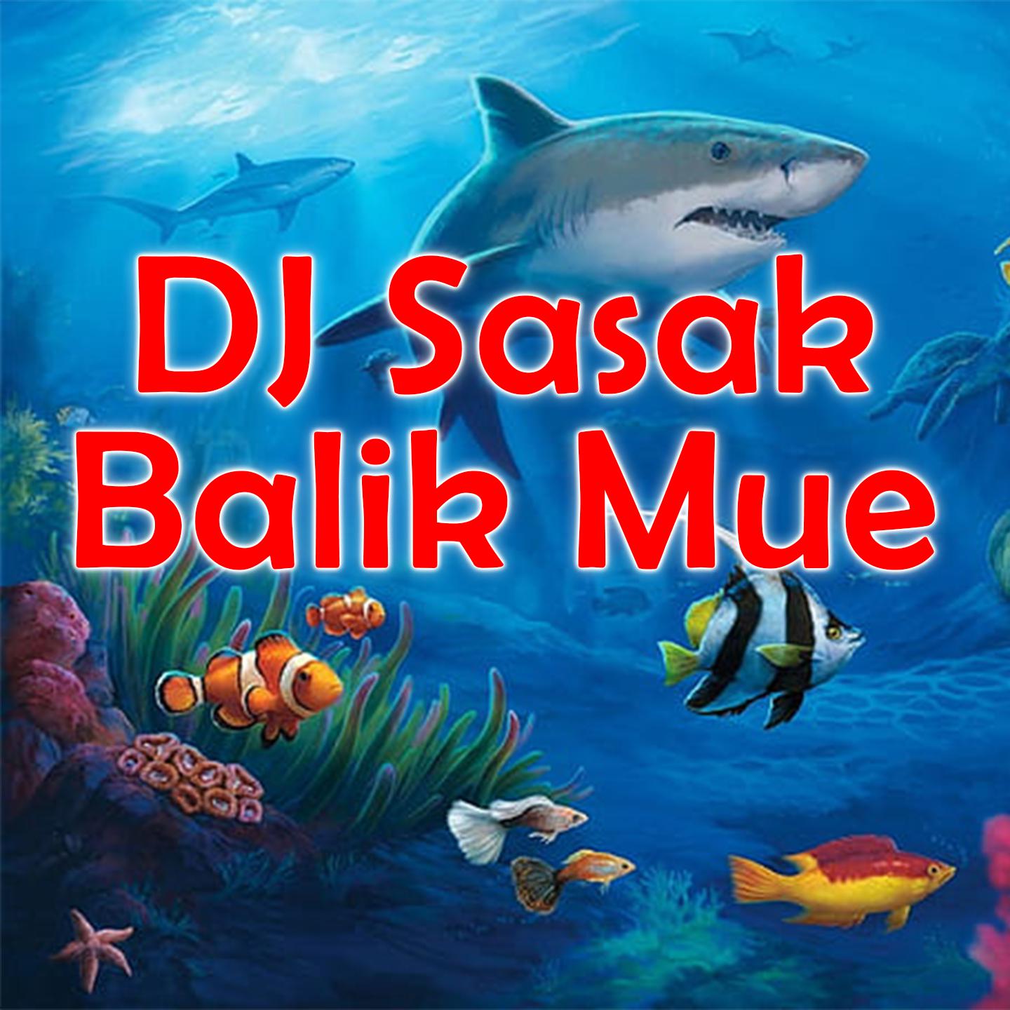 Постер альбома DJ Sasak Balik Mue