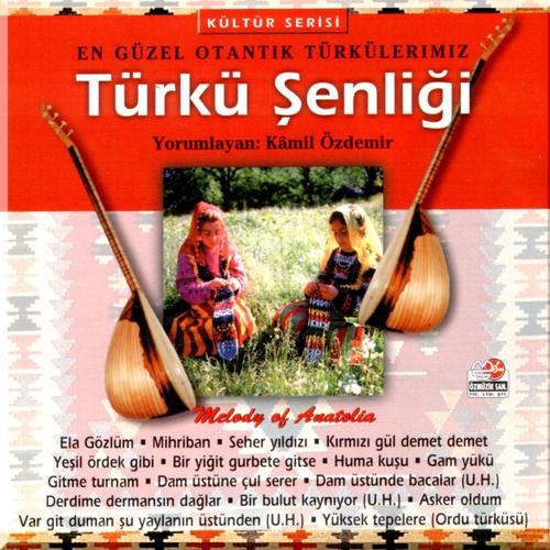 Постер альбома Türkü Şenliği