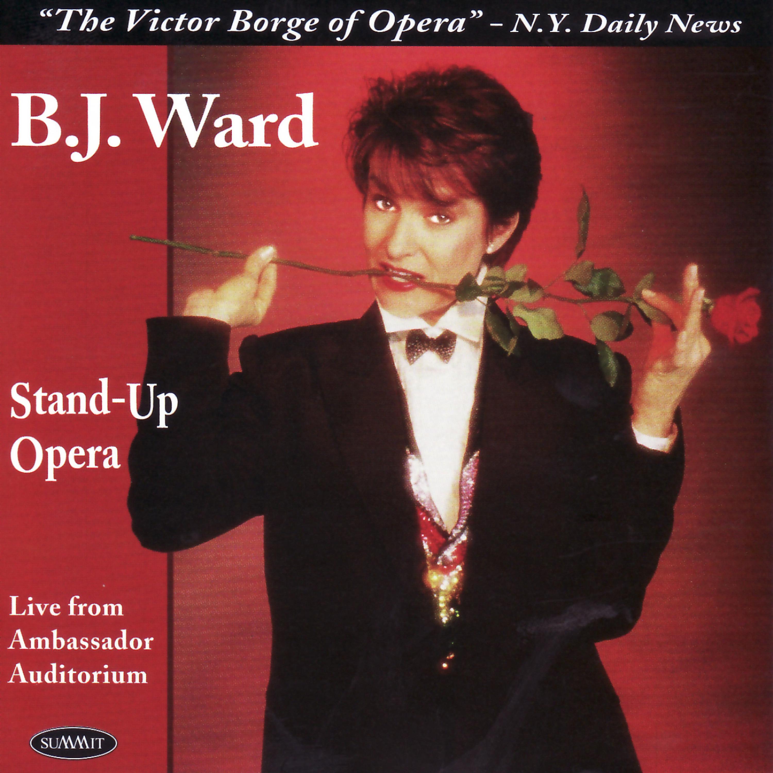 Постер альбома Stand-Up Opera