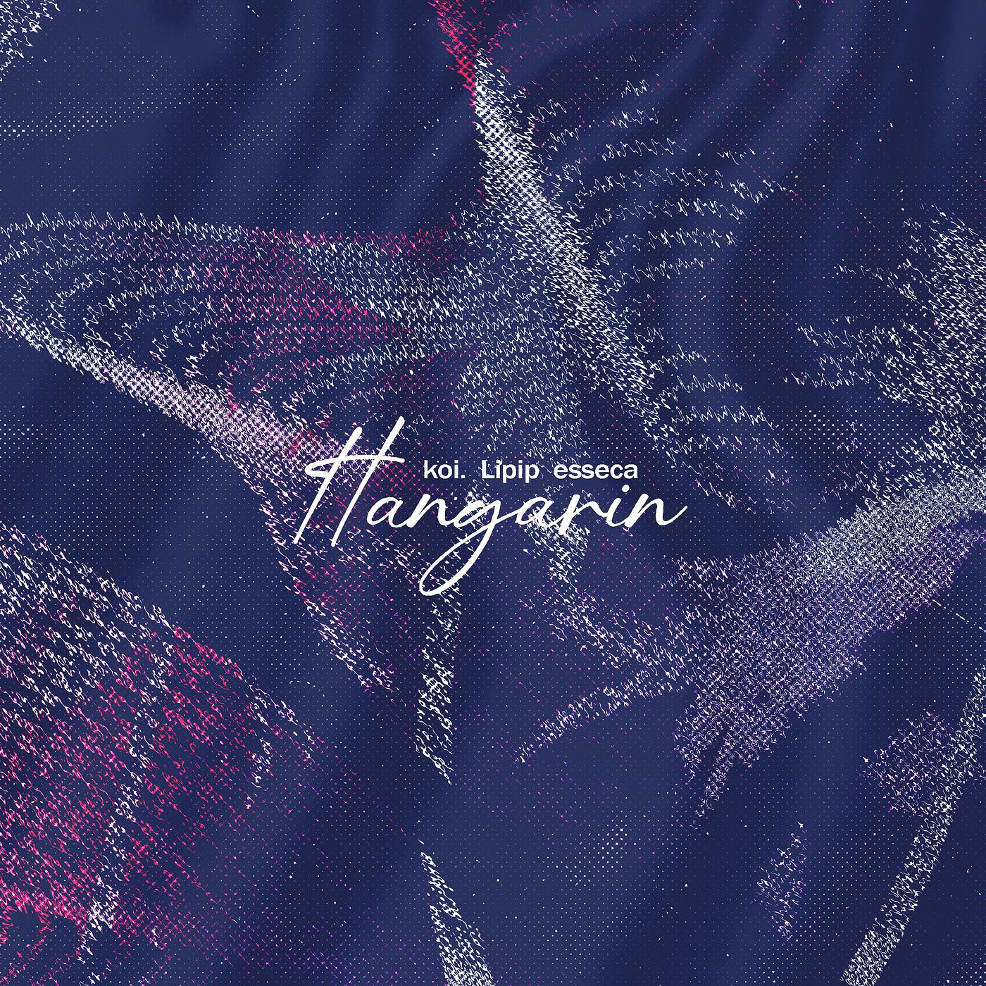 Постер альбома Hangarin