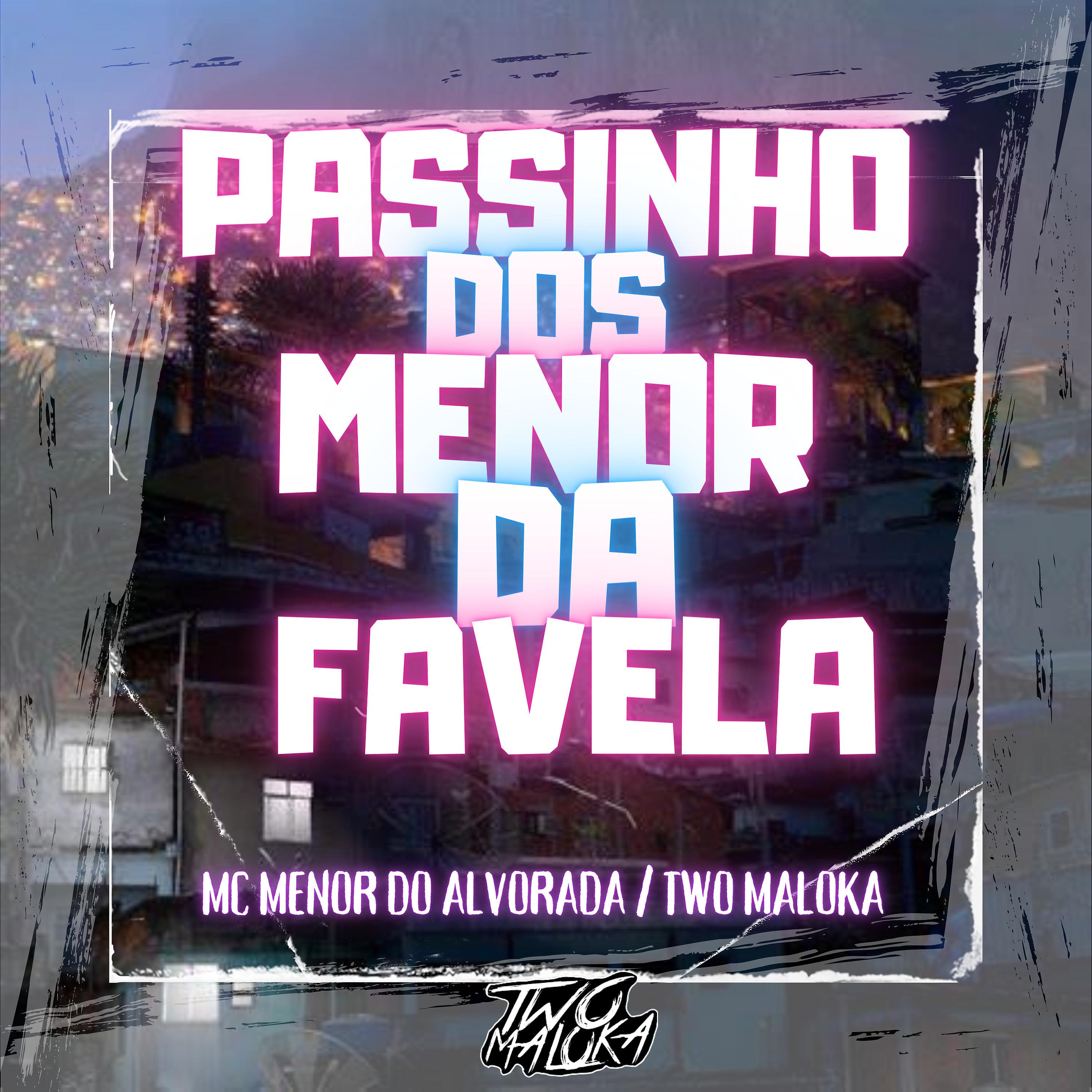 Постер альбома Passinho dos Menor da Favela