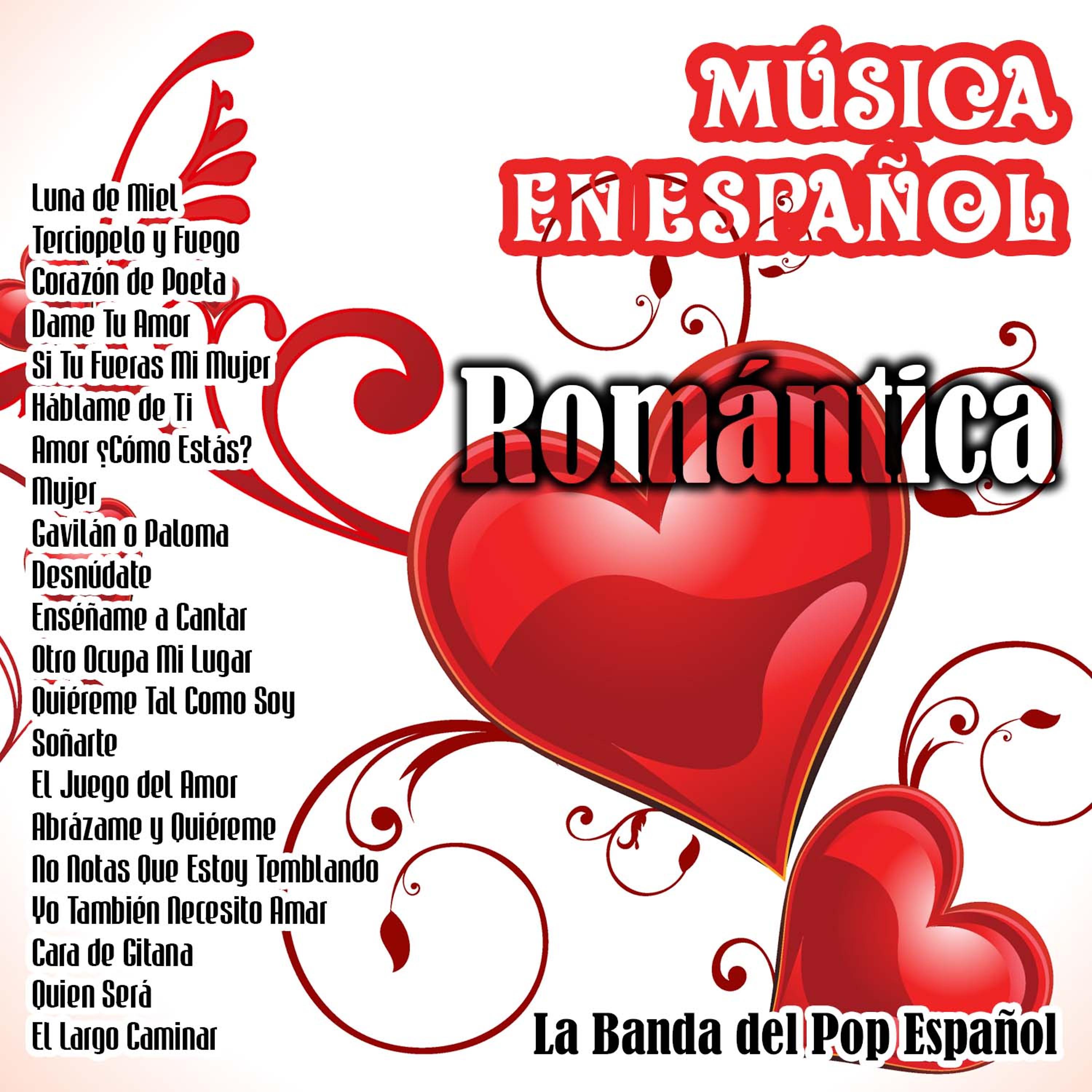 Постер альбома Música en Español - Romántica