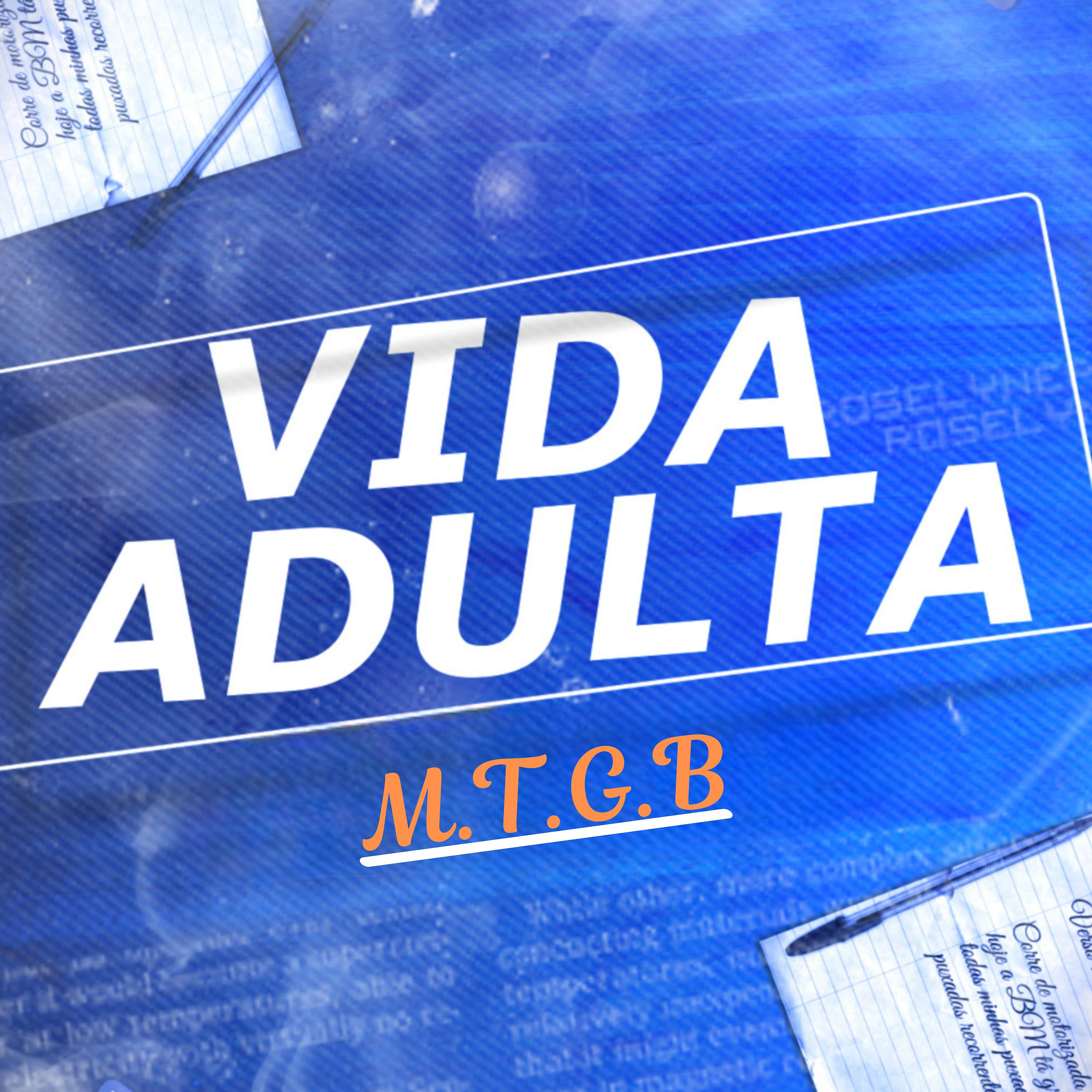 Постер альбома Vida Adulta