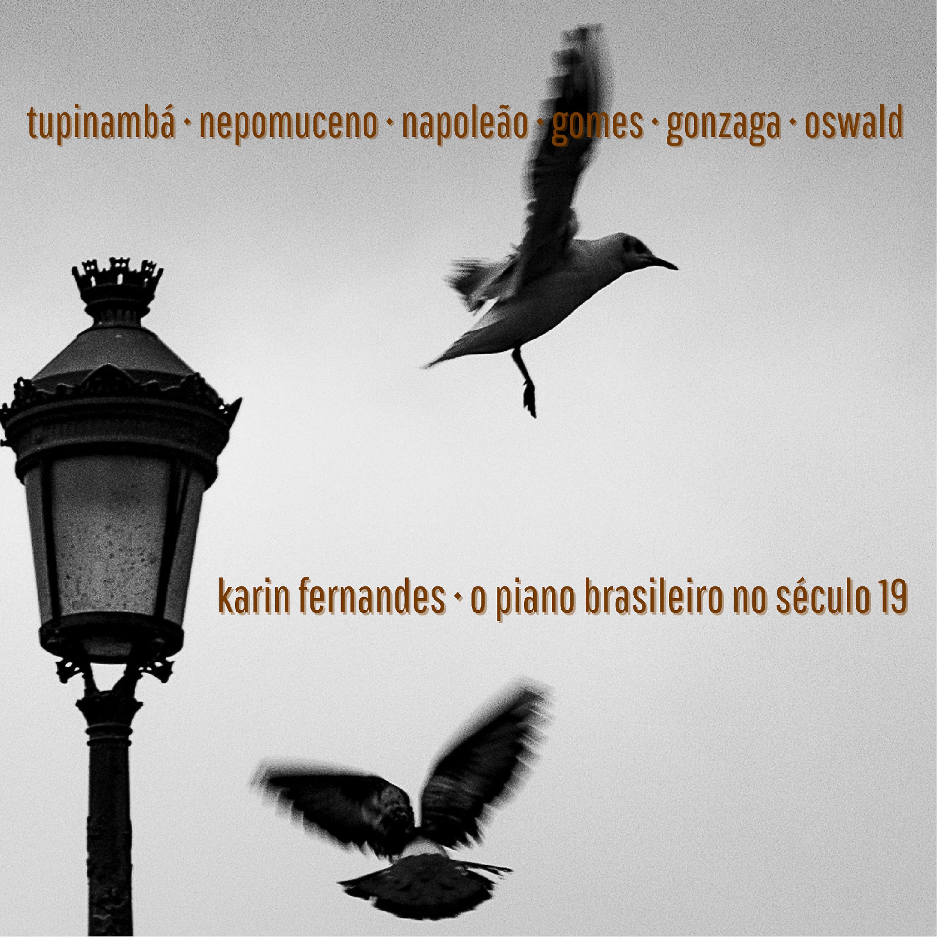 Постер альбома O Piano Brasileiro No Século 19
