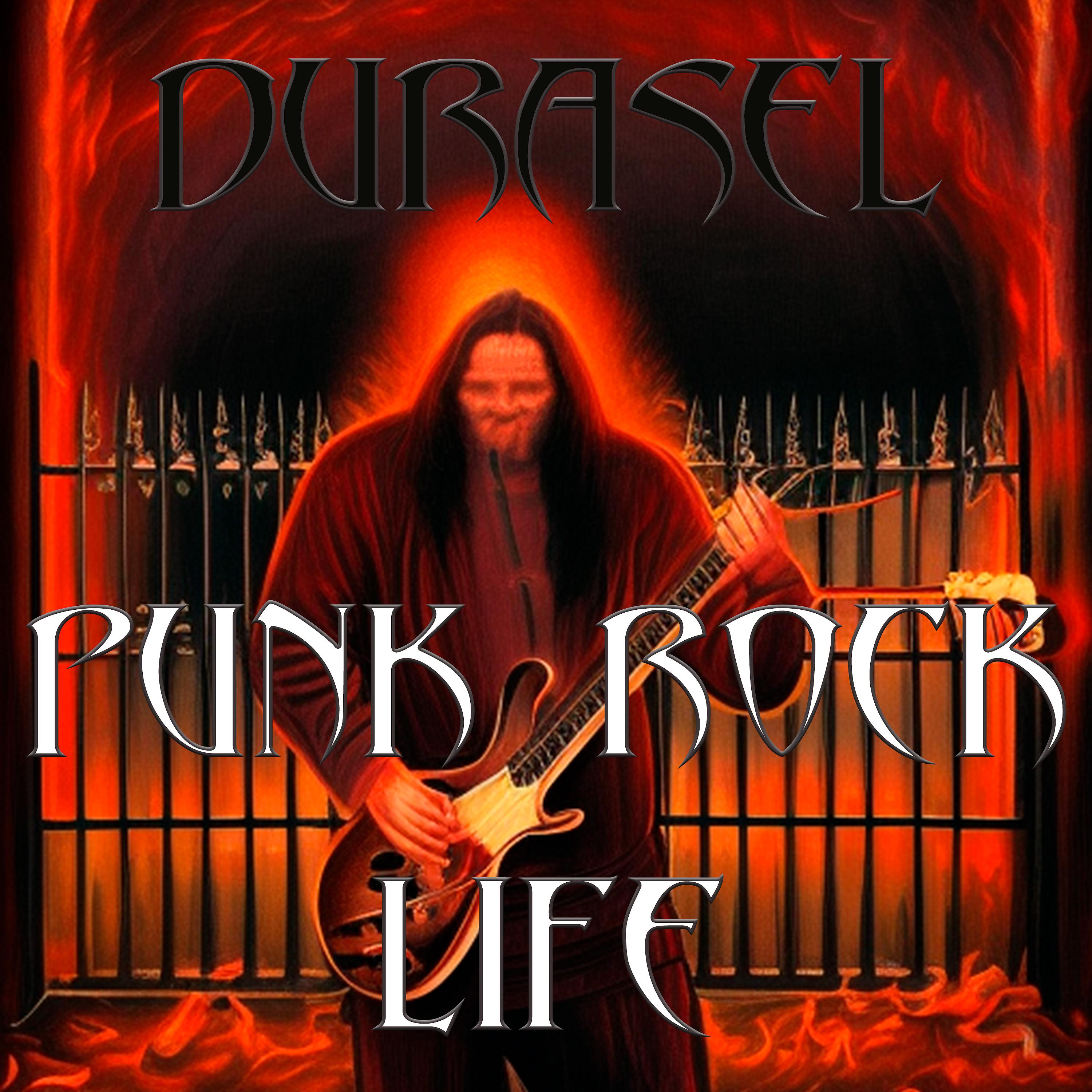 Постер альбома Punk Rock Life