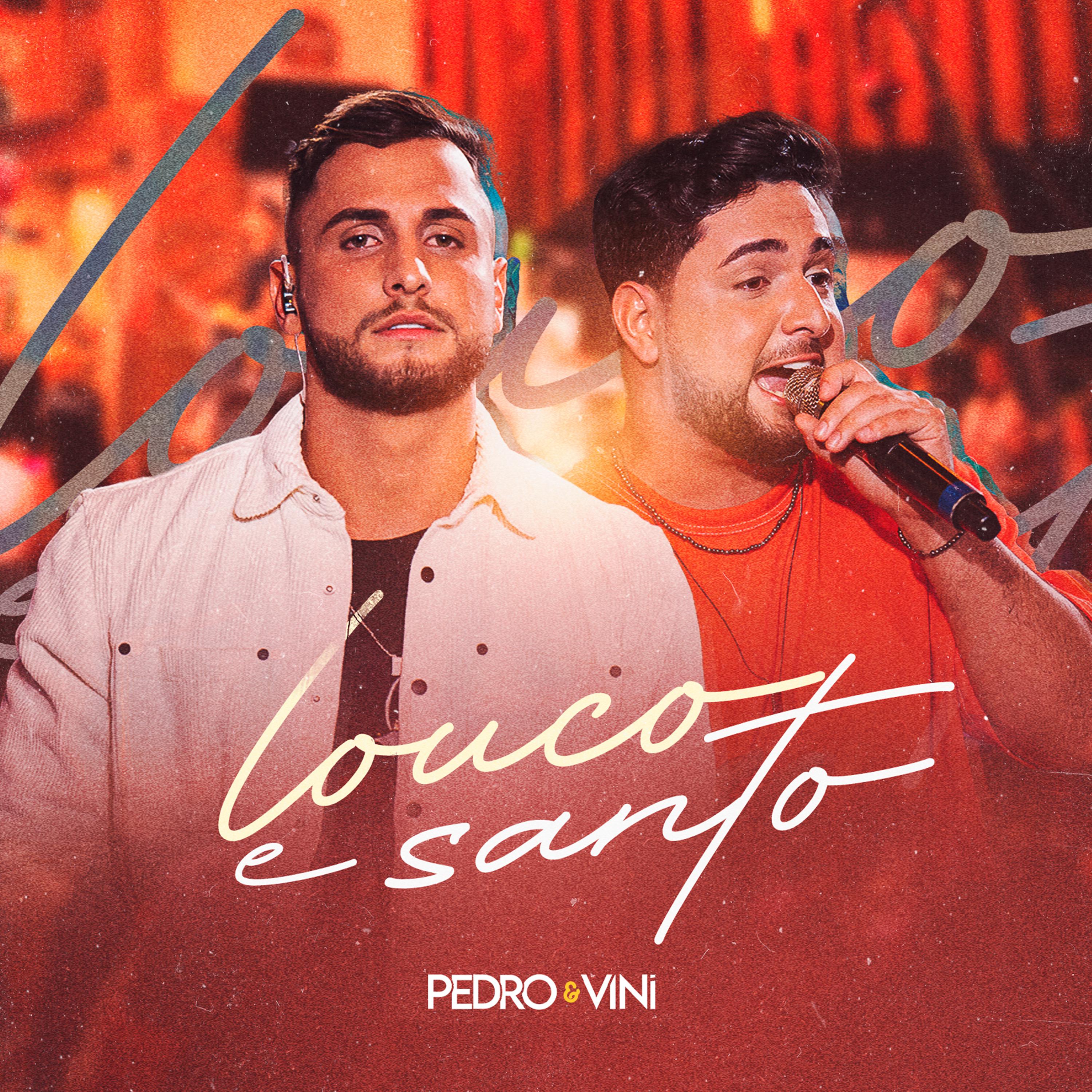 Постер альбома Louco e Santo