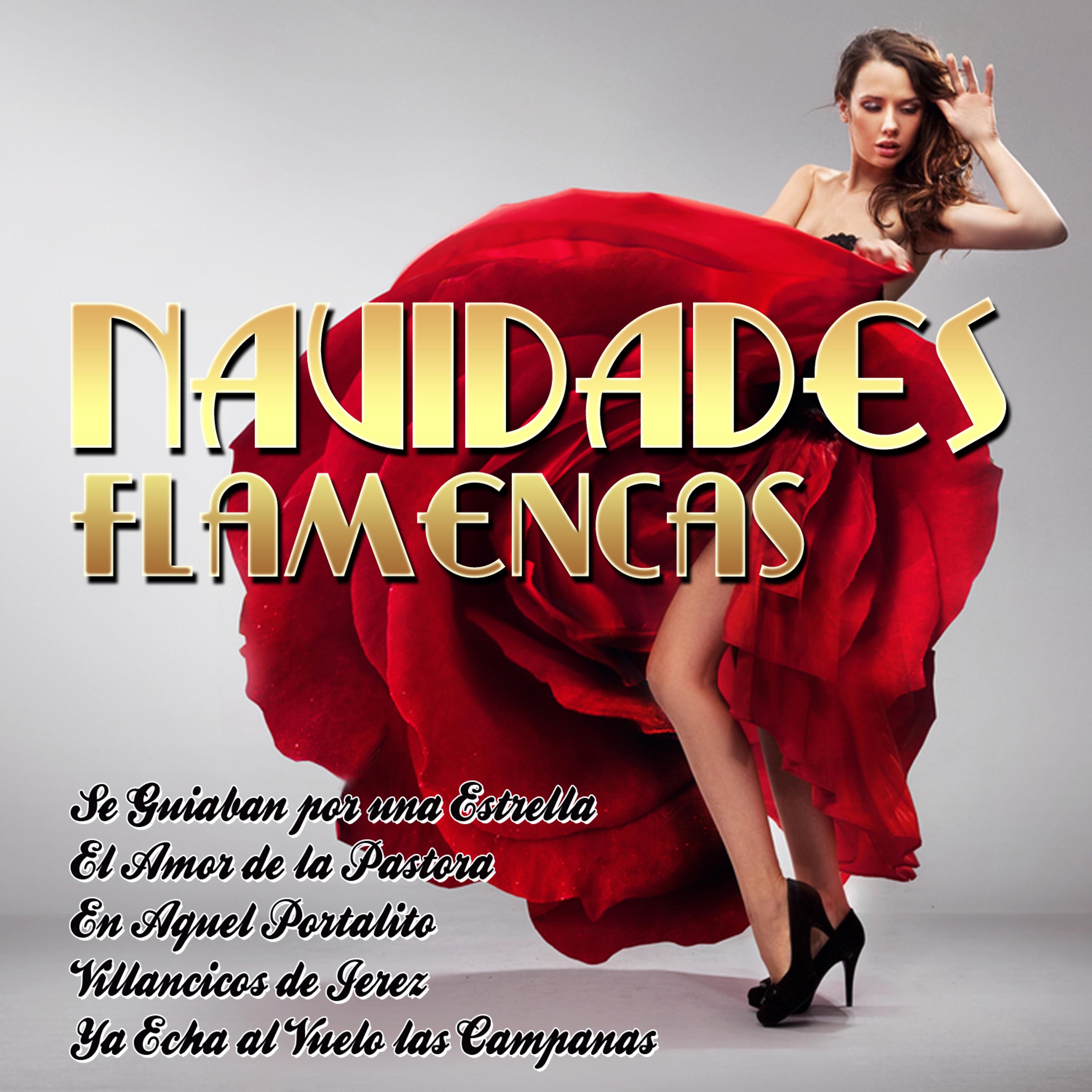 Постер альбома Navidades Flamencas