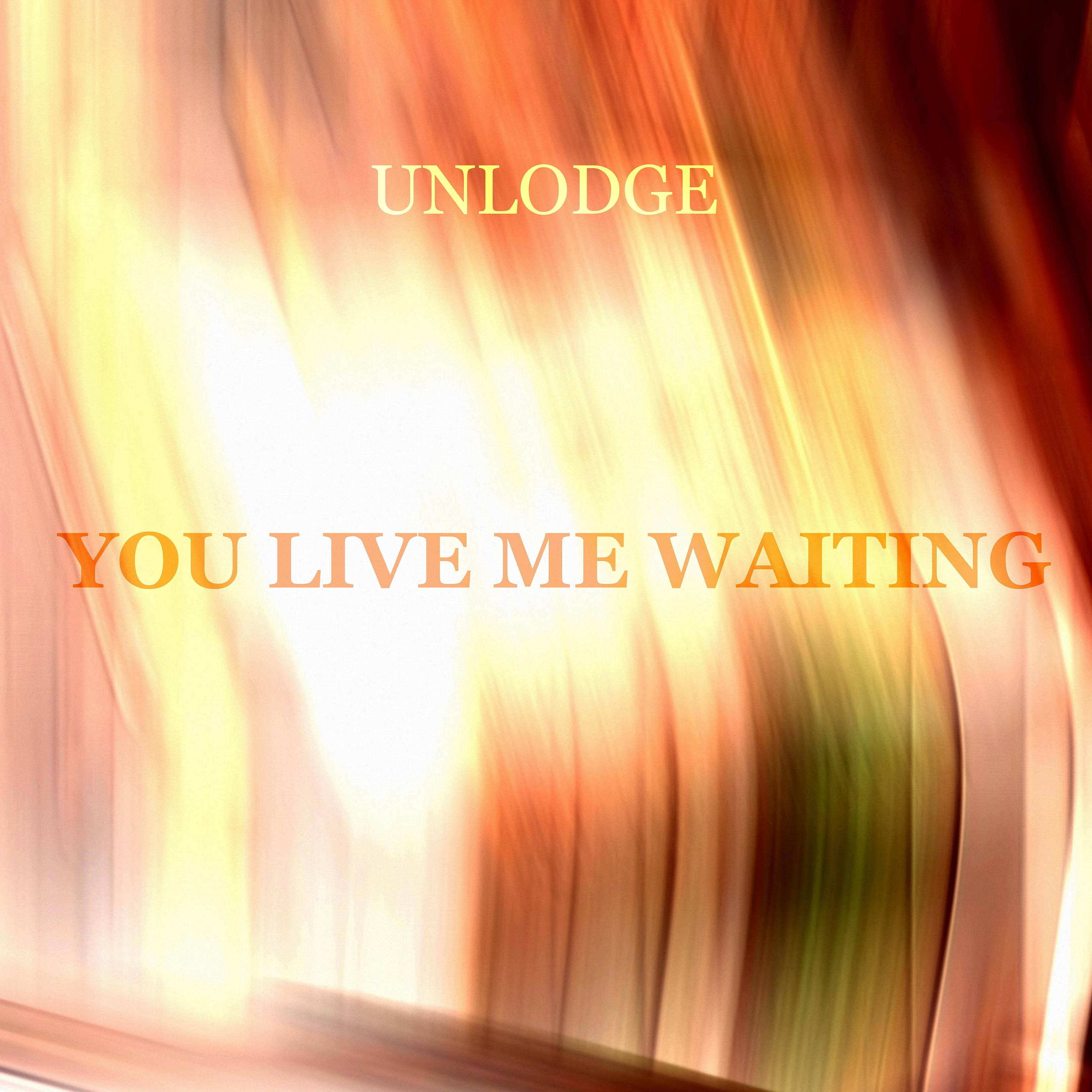 Постер альбома You Live Me Waiting
