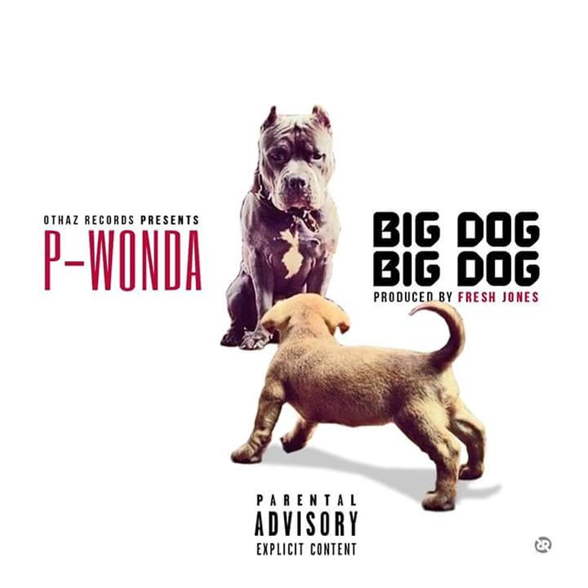 Постер альбома Big Dog Big Dog