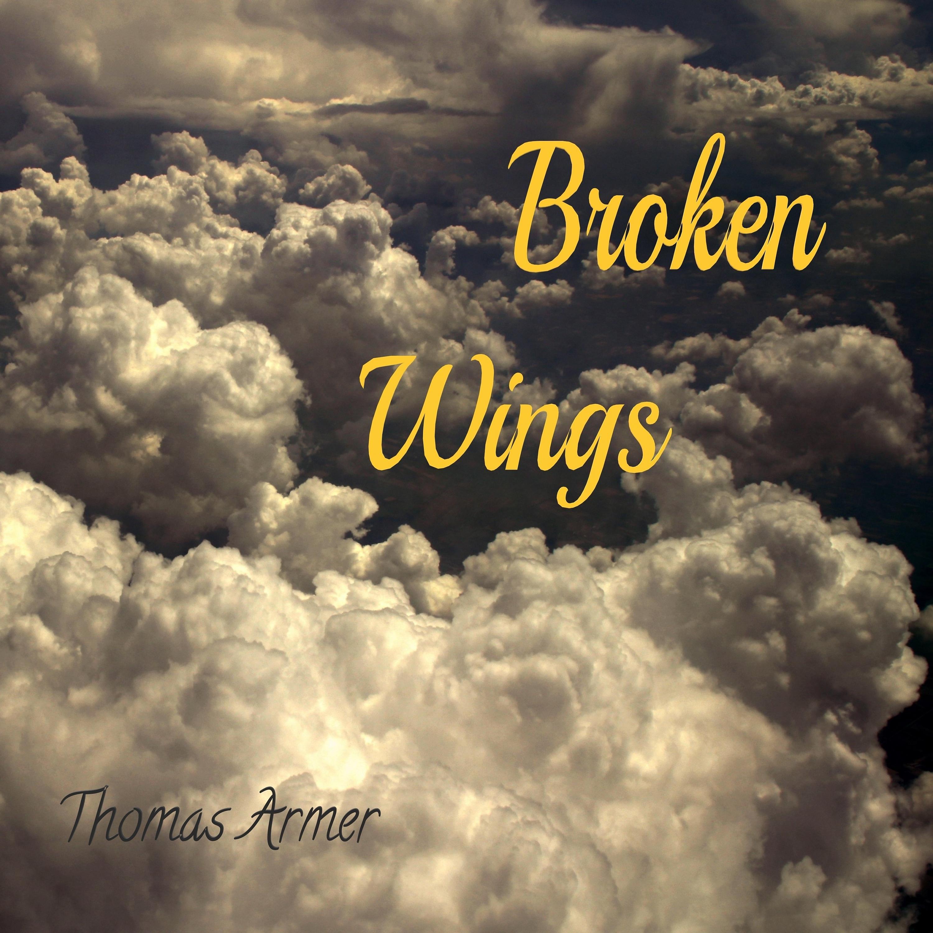 Постер альбома Broken Wings