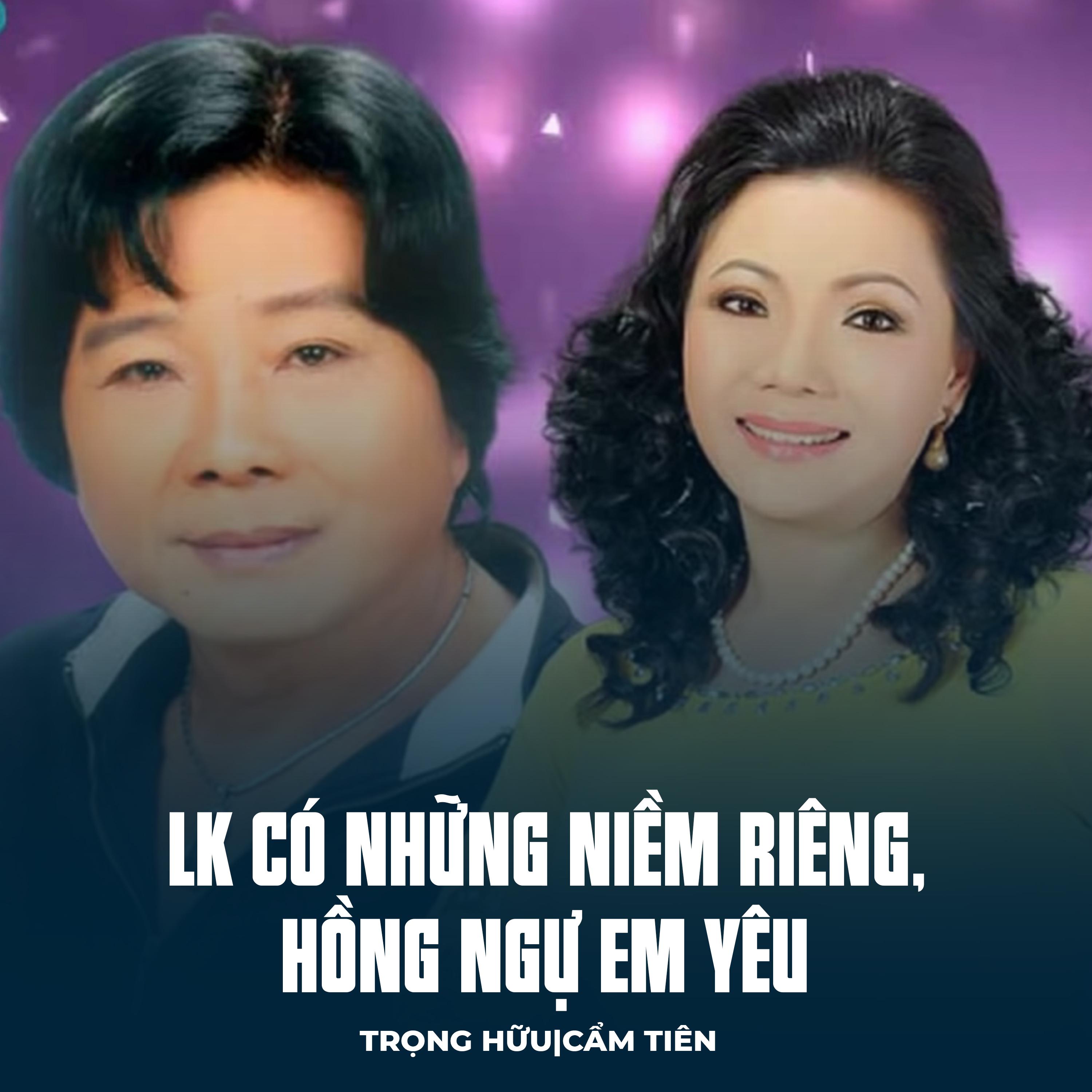 Постер альбома LK Có Những Niềm Riêng, Hồng Ngự Em Yêu