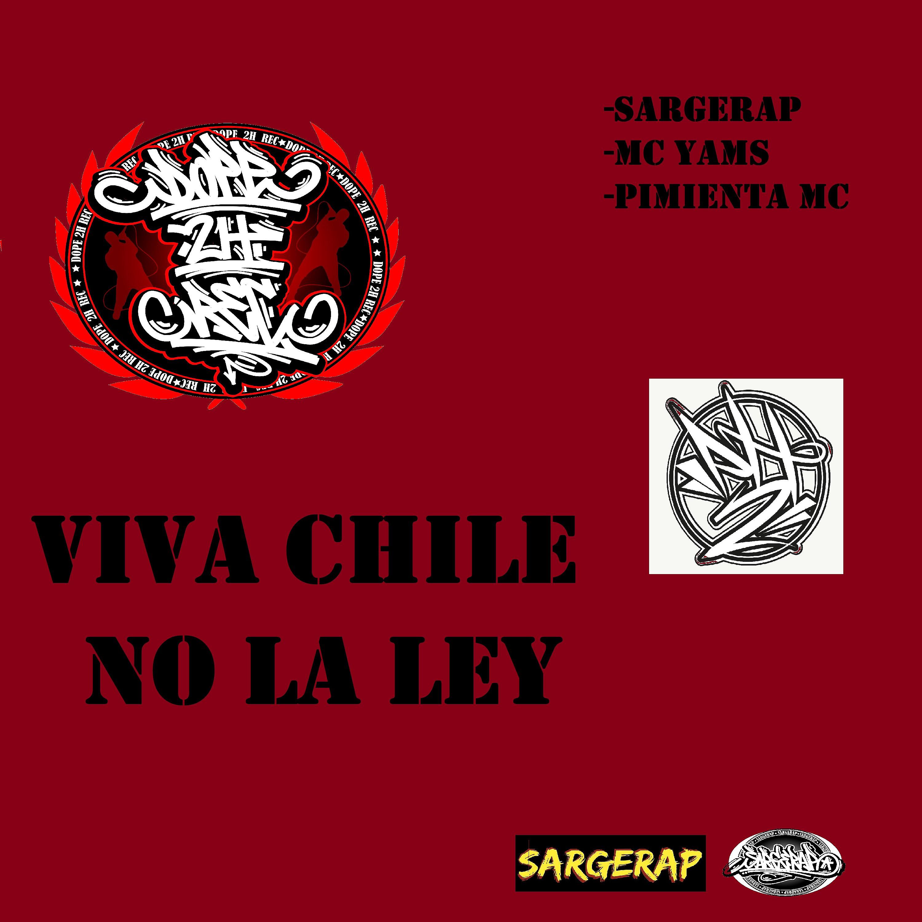 Постер альбома Viva Chile No la Ley