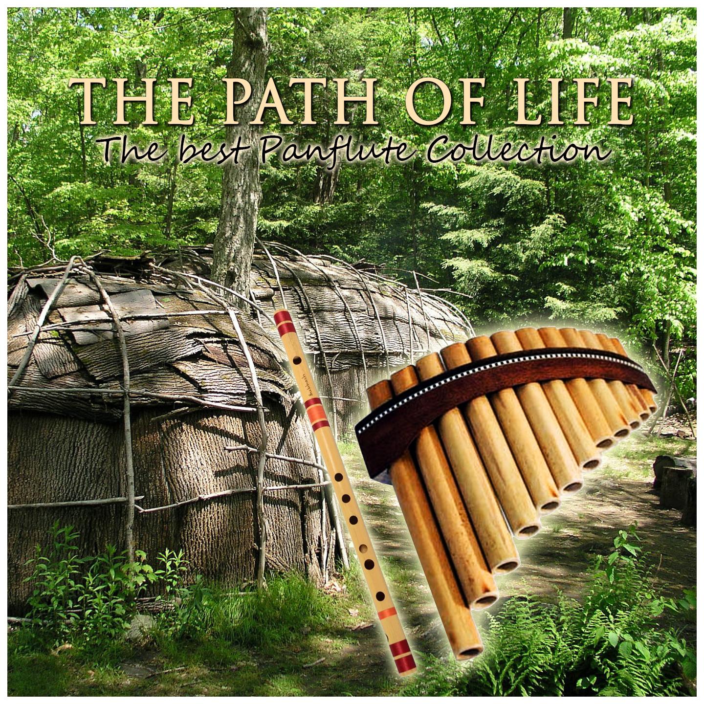 Постер альбома The Path of Life