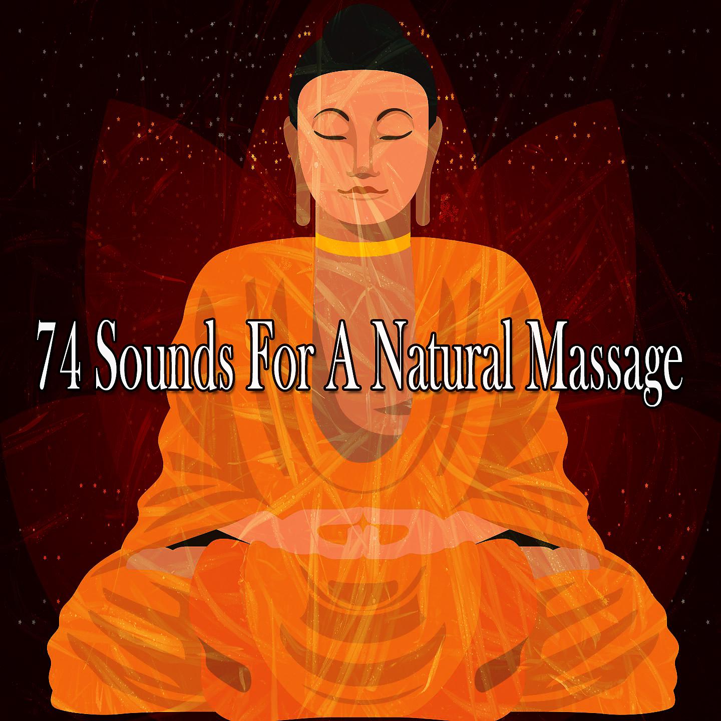 Постер альбома 74 Sounds For A Natural Massage