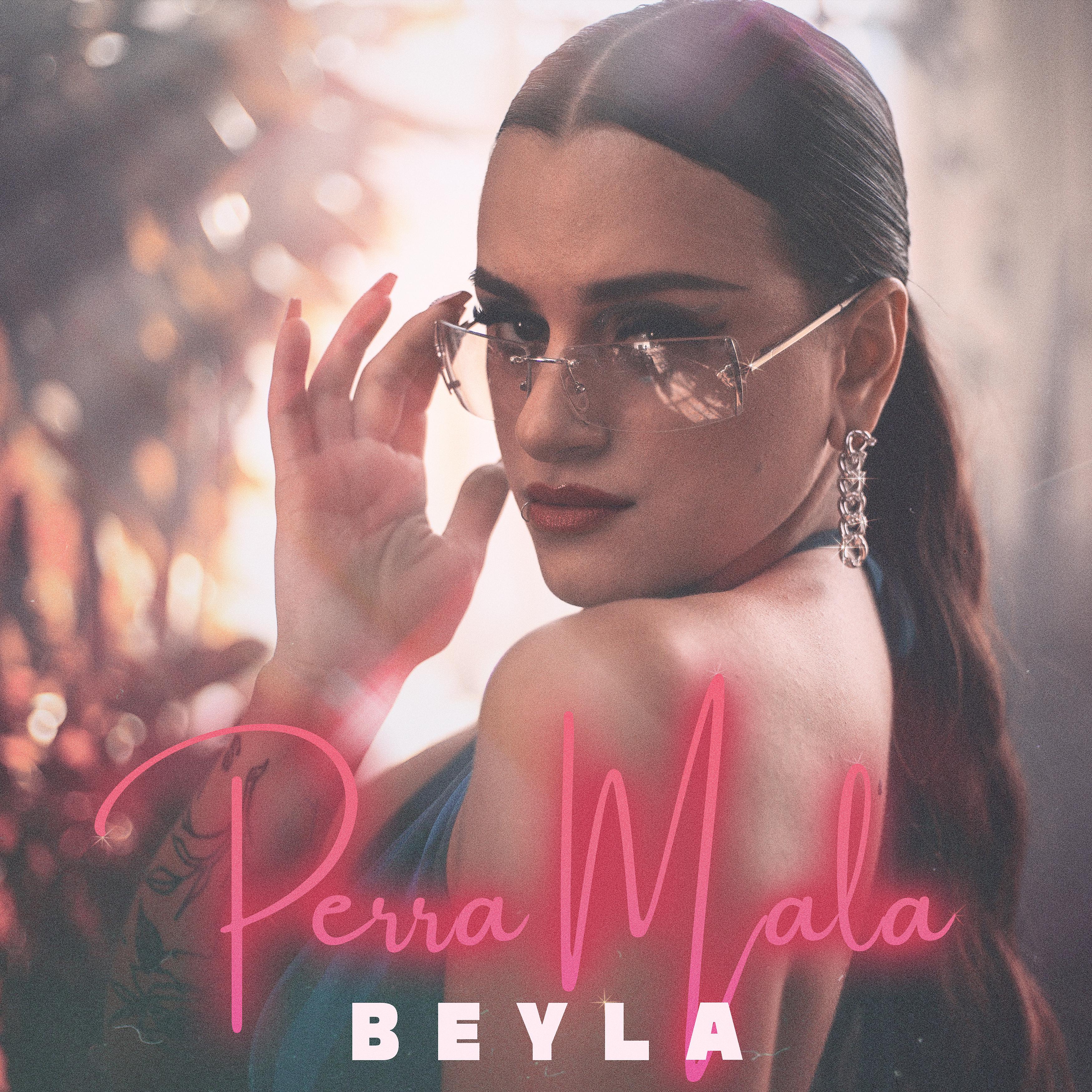 Постер альбома Perra Mala