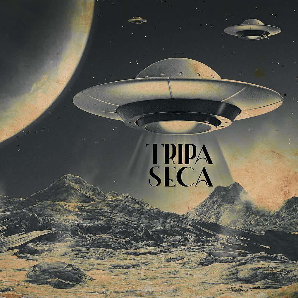 Постер альбома Tripa Seca