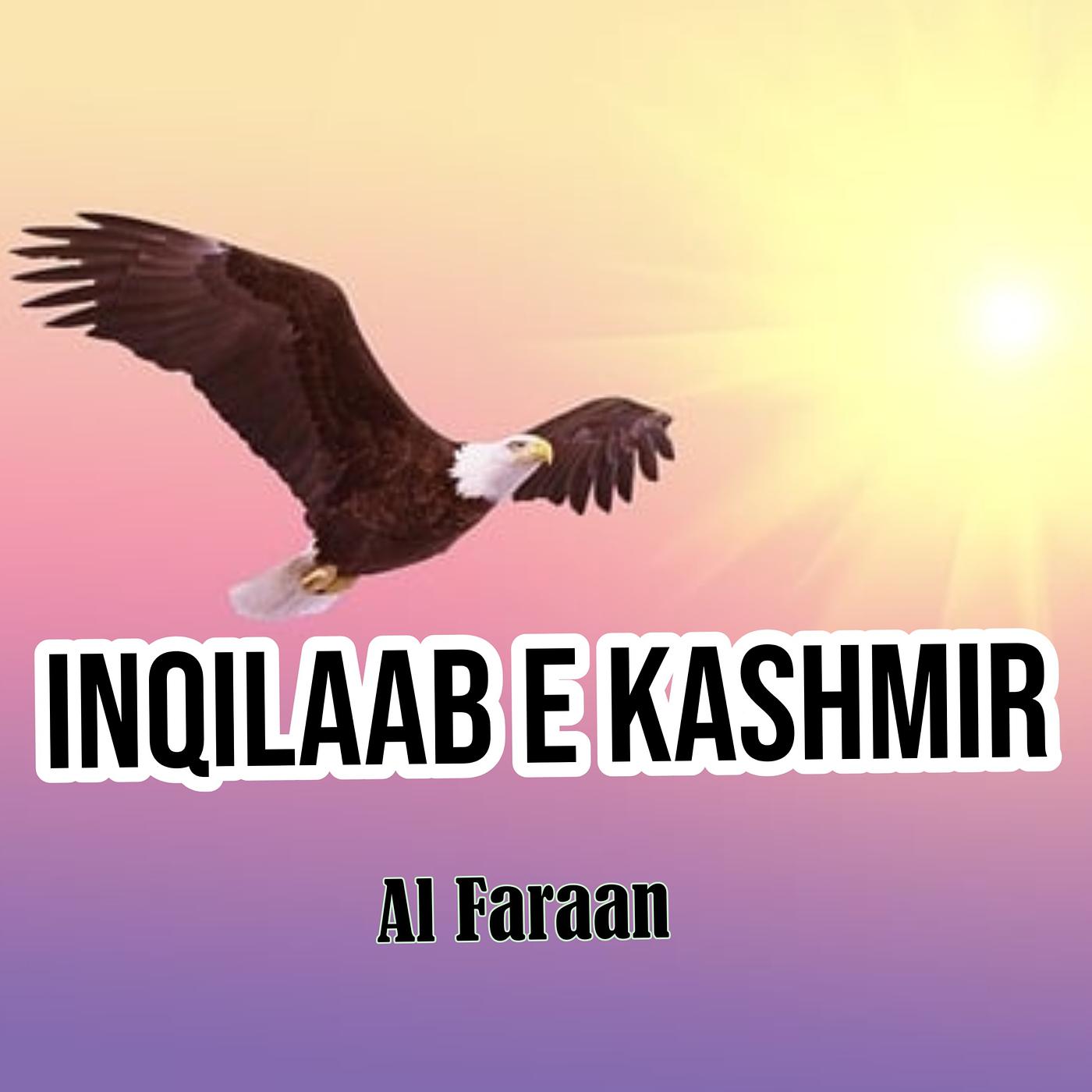 Постер альбома Inqilaab E Kashmir