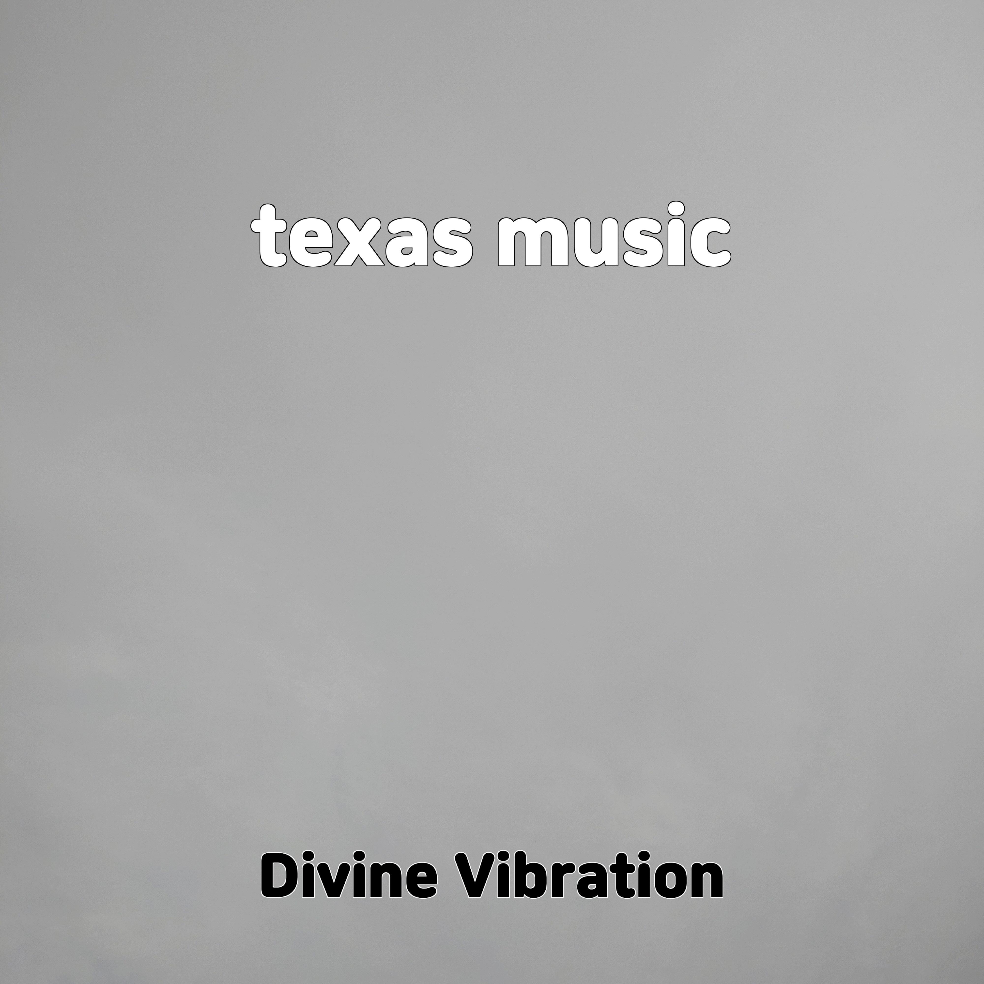 Постер альбома texas music