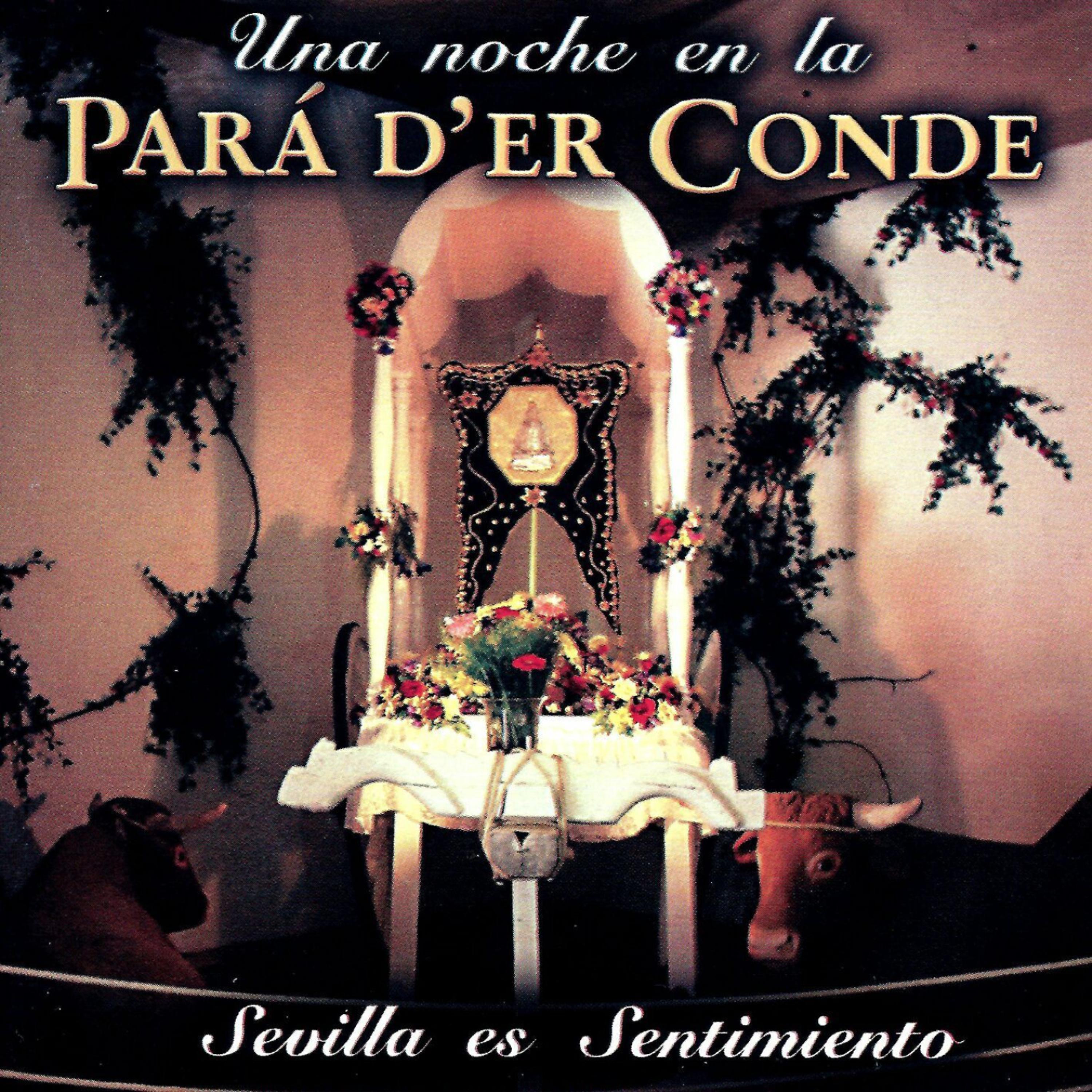 Постер альбома Una Noche en la Pará d´er Conde - Sevilla es Sentimiento