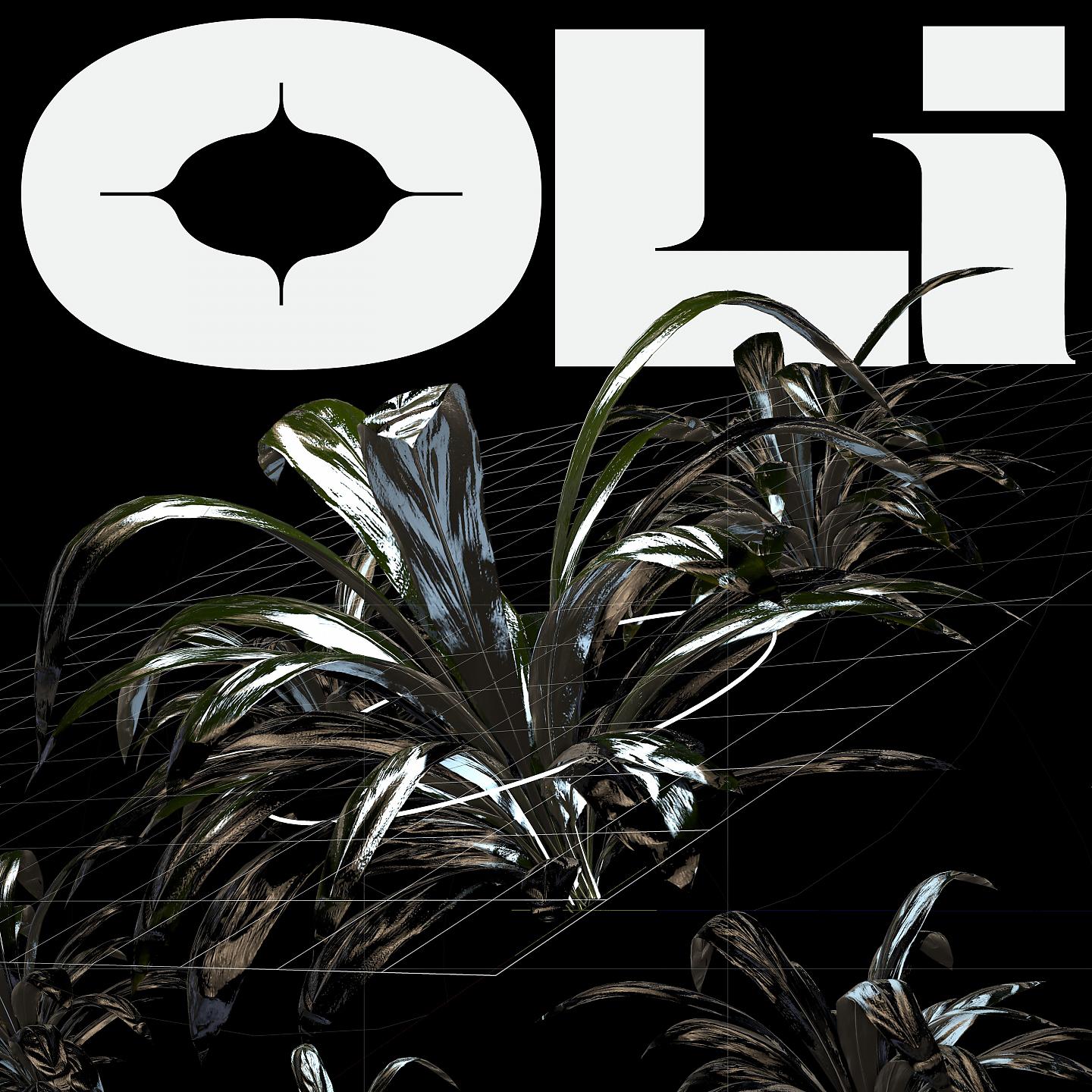 Постер альбома Oli