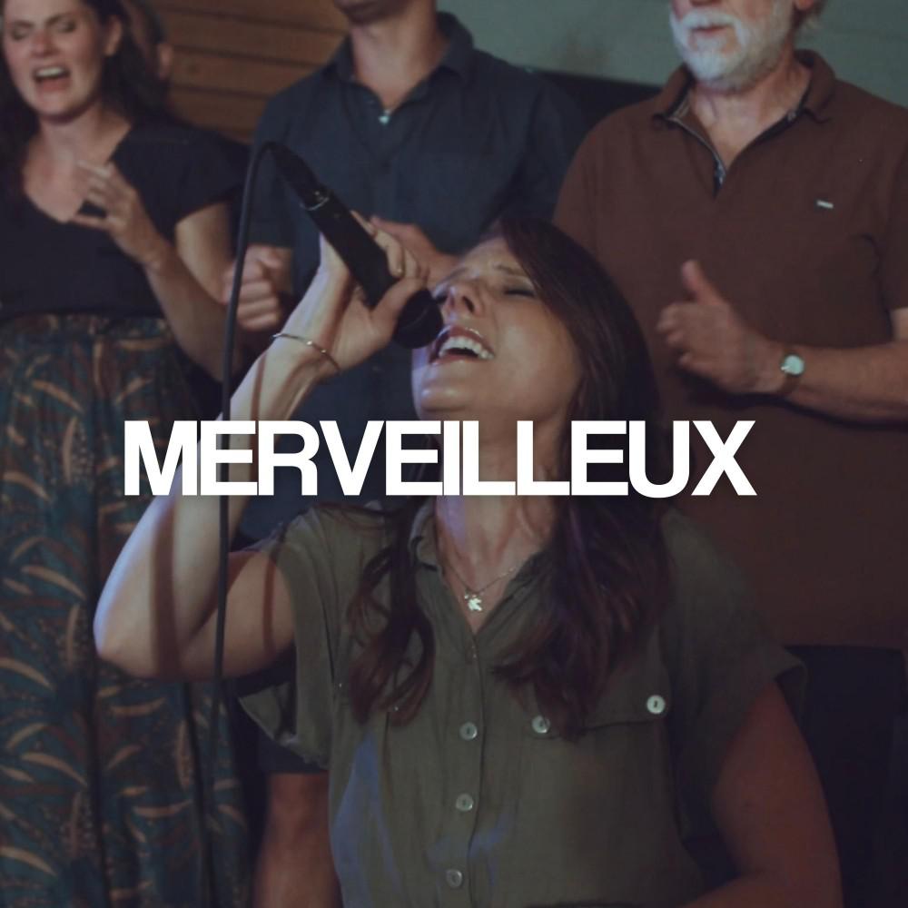 Постер альбома Merveilleux (Live)