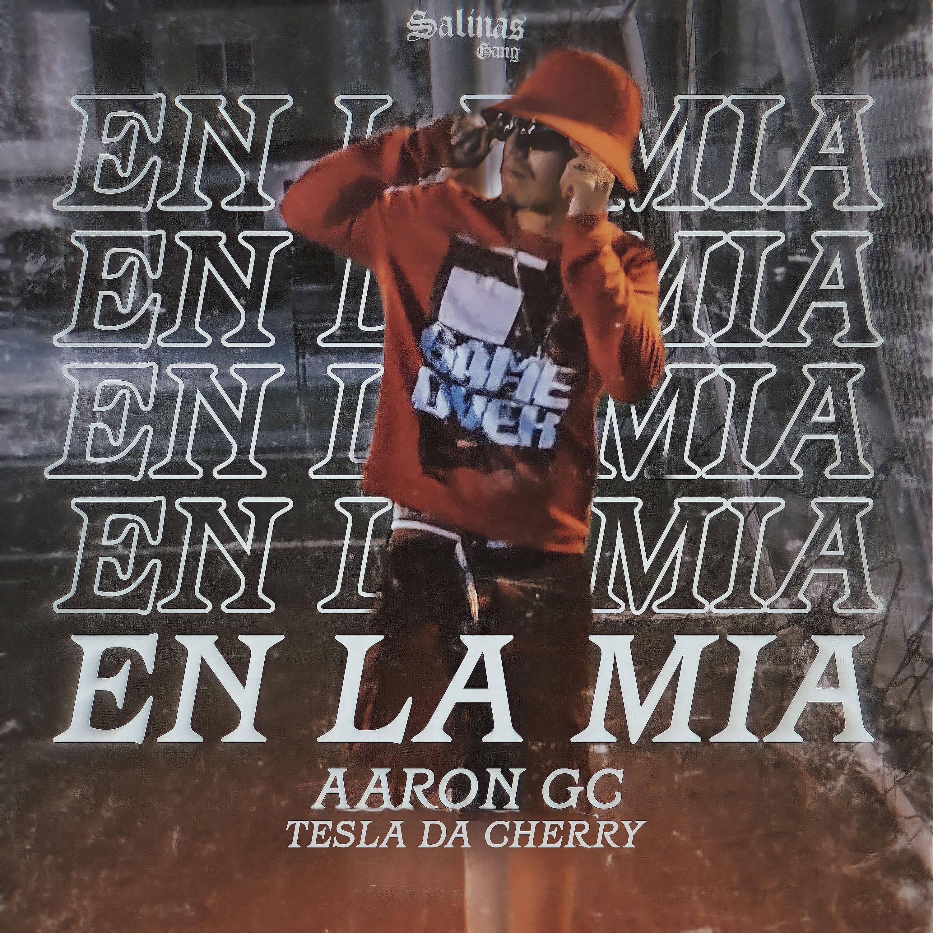 Постер альбома En la Mia