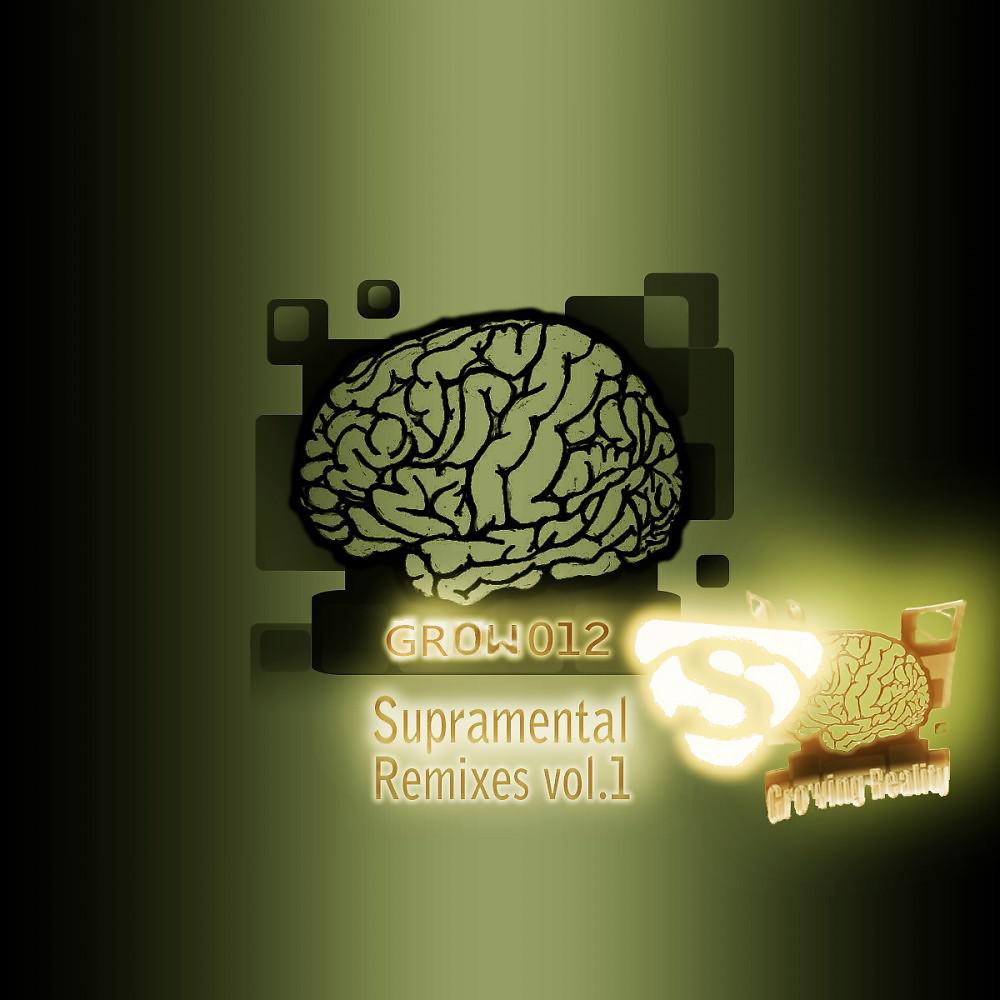 Постер альбома Supramental Remixes Vol. 1