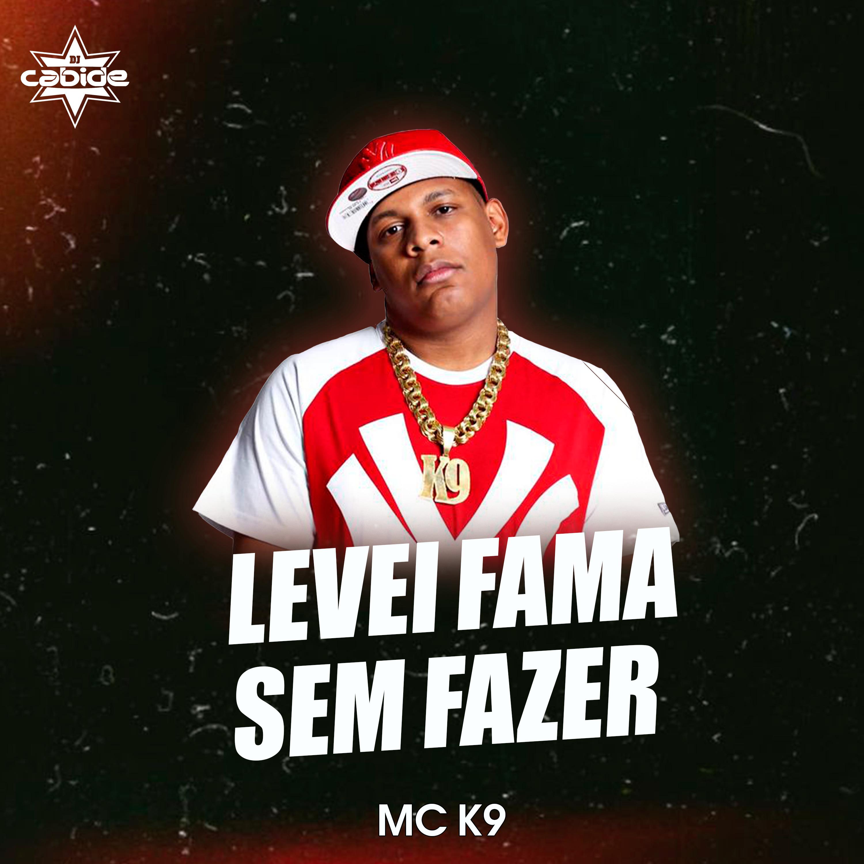 Постер альбома Levei Fama Sem Fazer