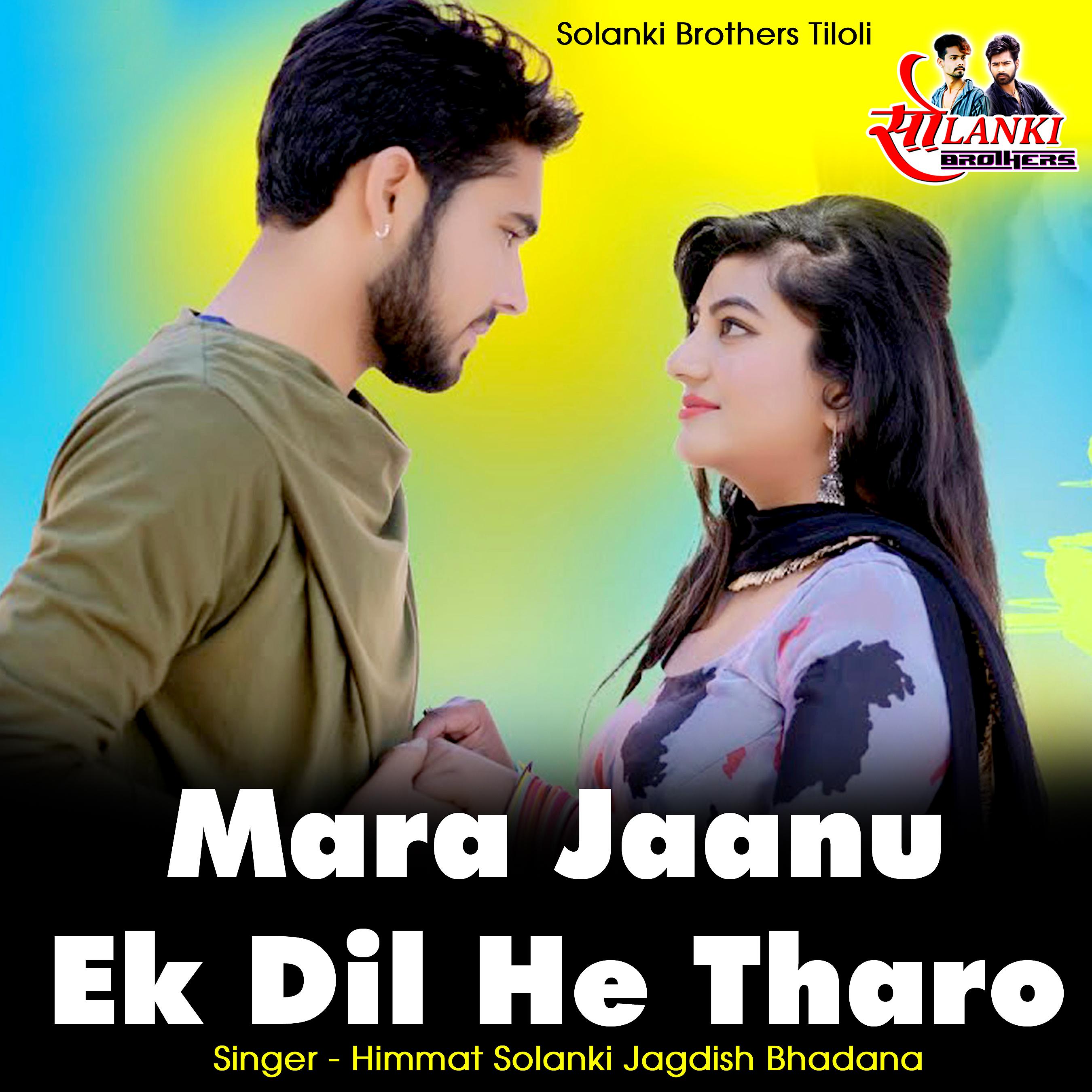 Постер альбома Mari Jaanu Ek Dil He Tharo