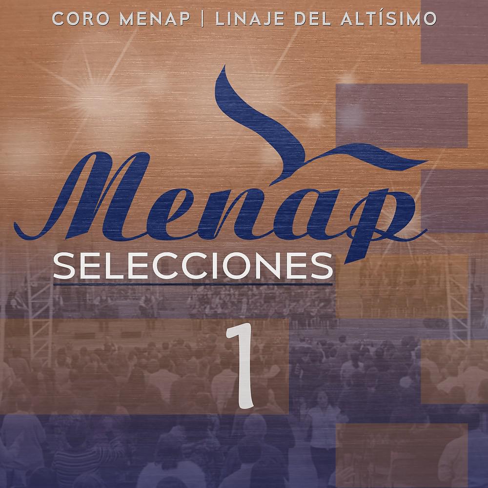 Постер альбома Menap Selecciones 1