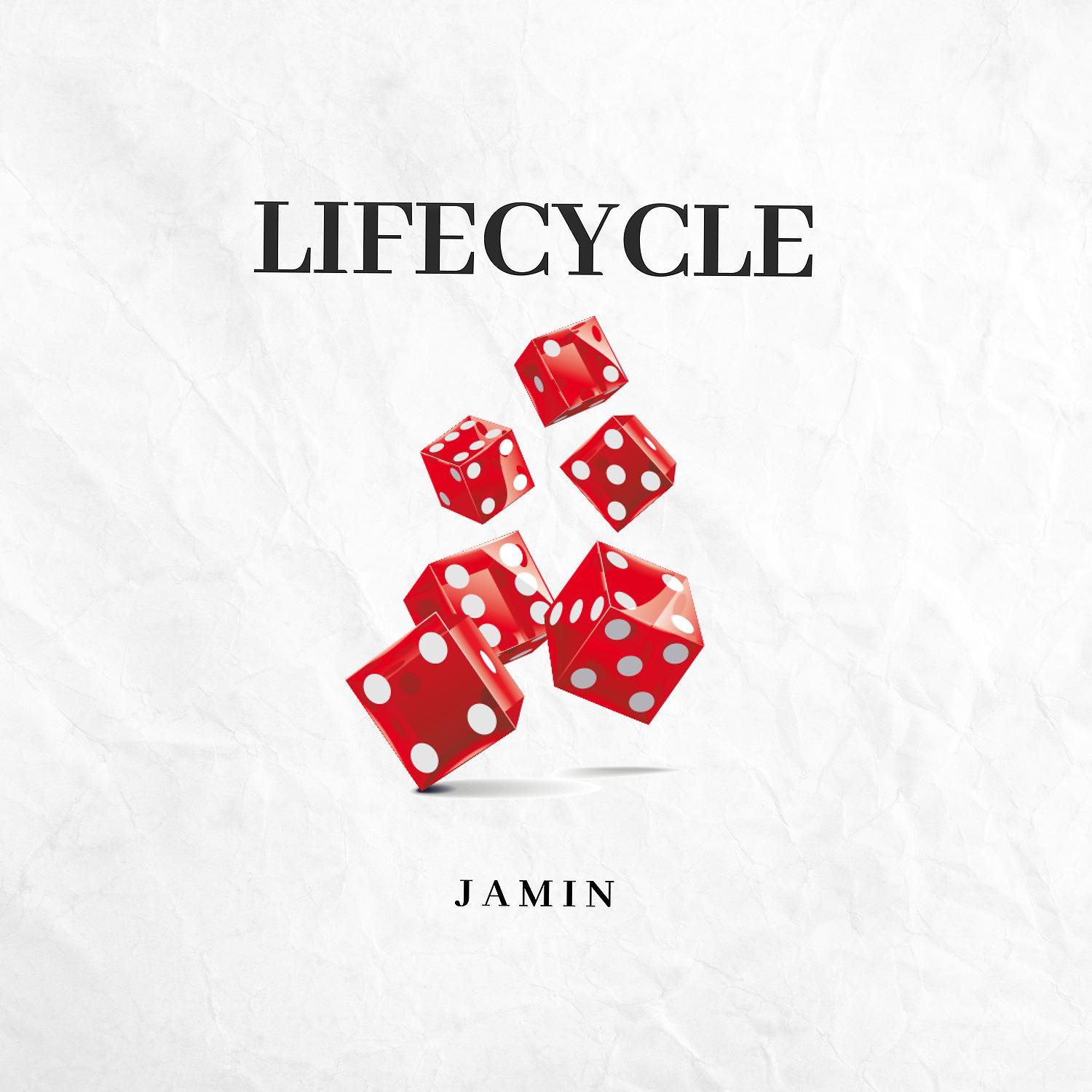 Постер альбома Lifecycle