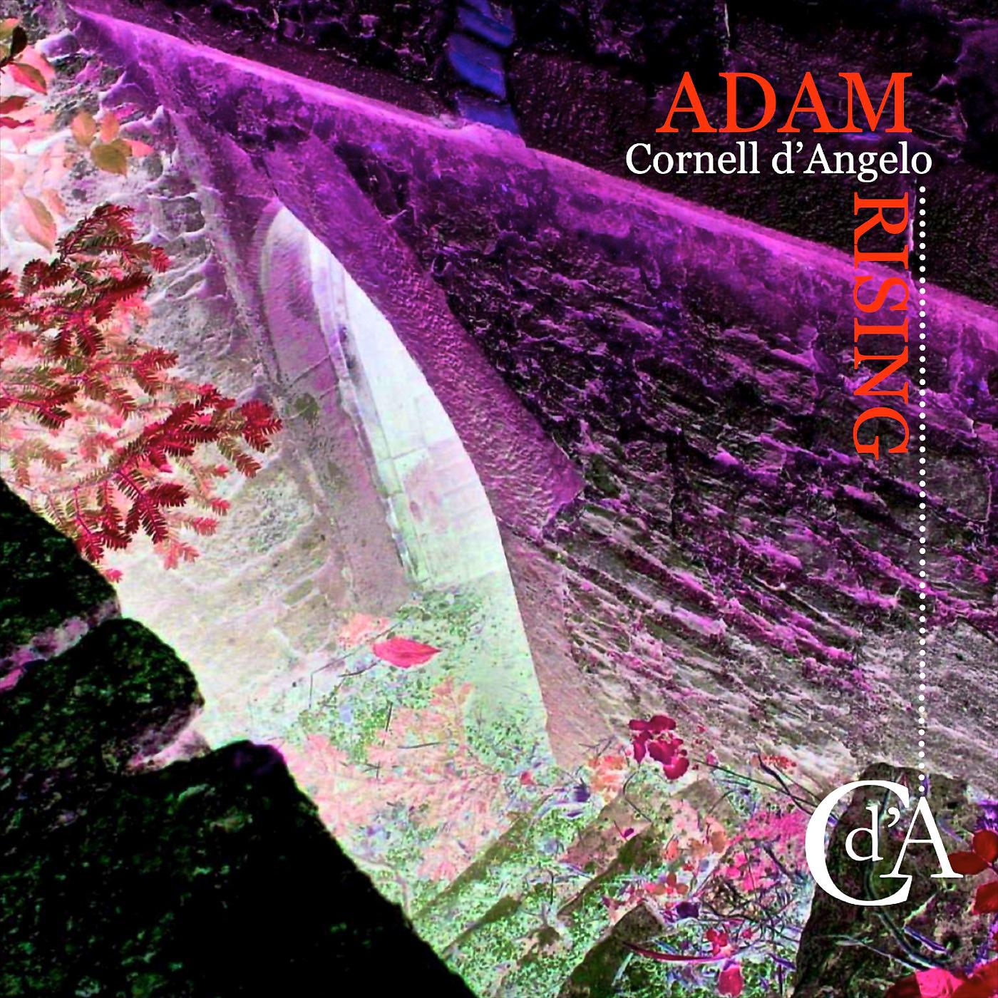 Постер альбома Adam Rising