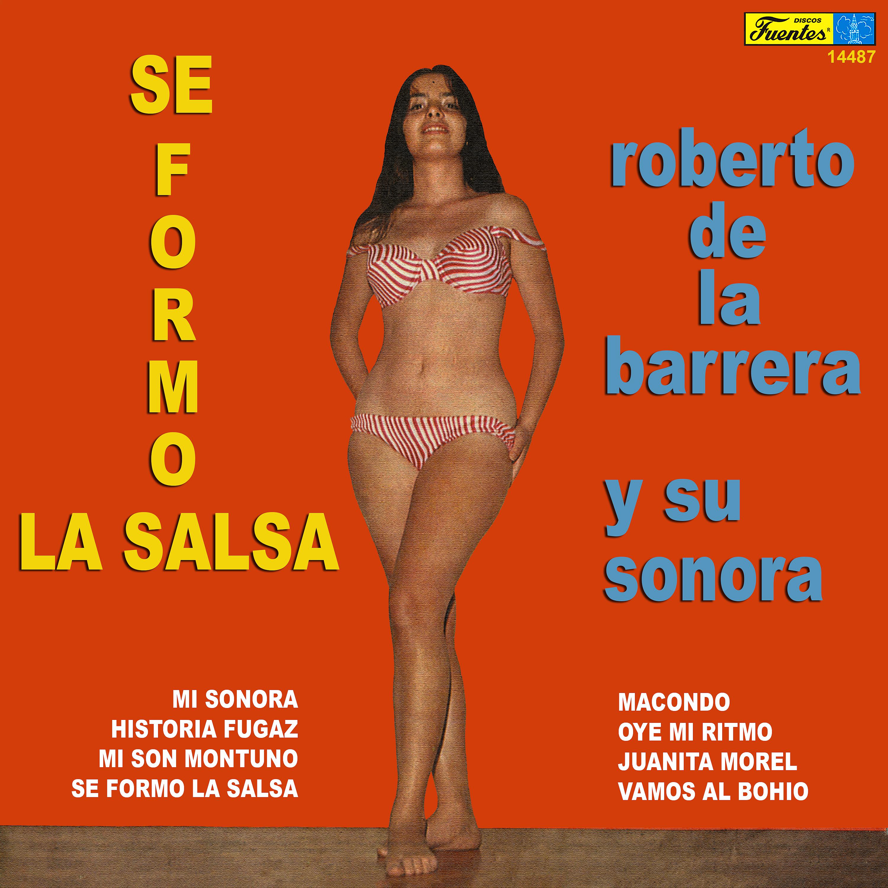 Постер альбома Se Formó la Salsa