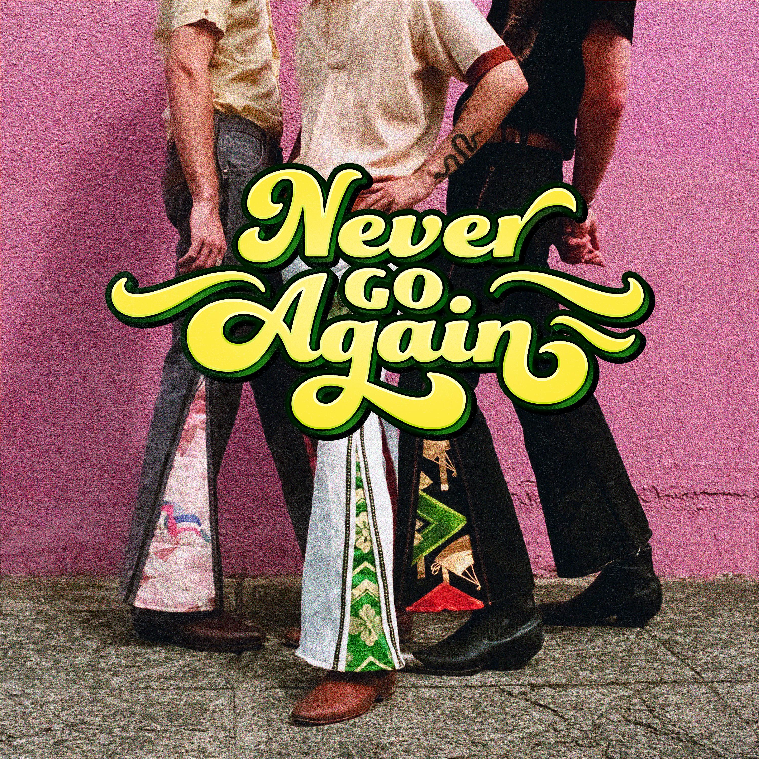 Постер альбома Never Go Again