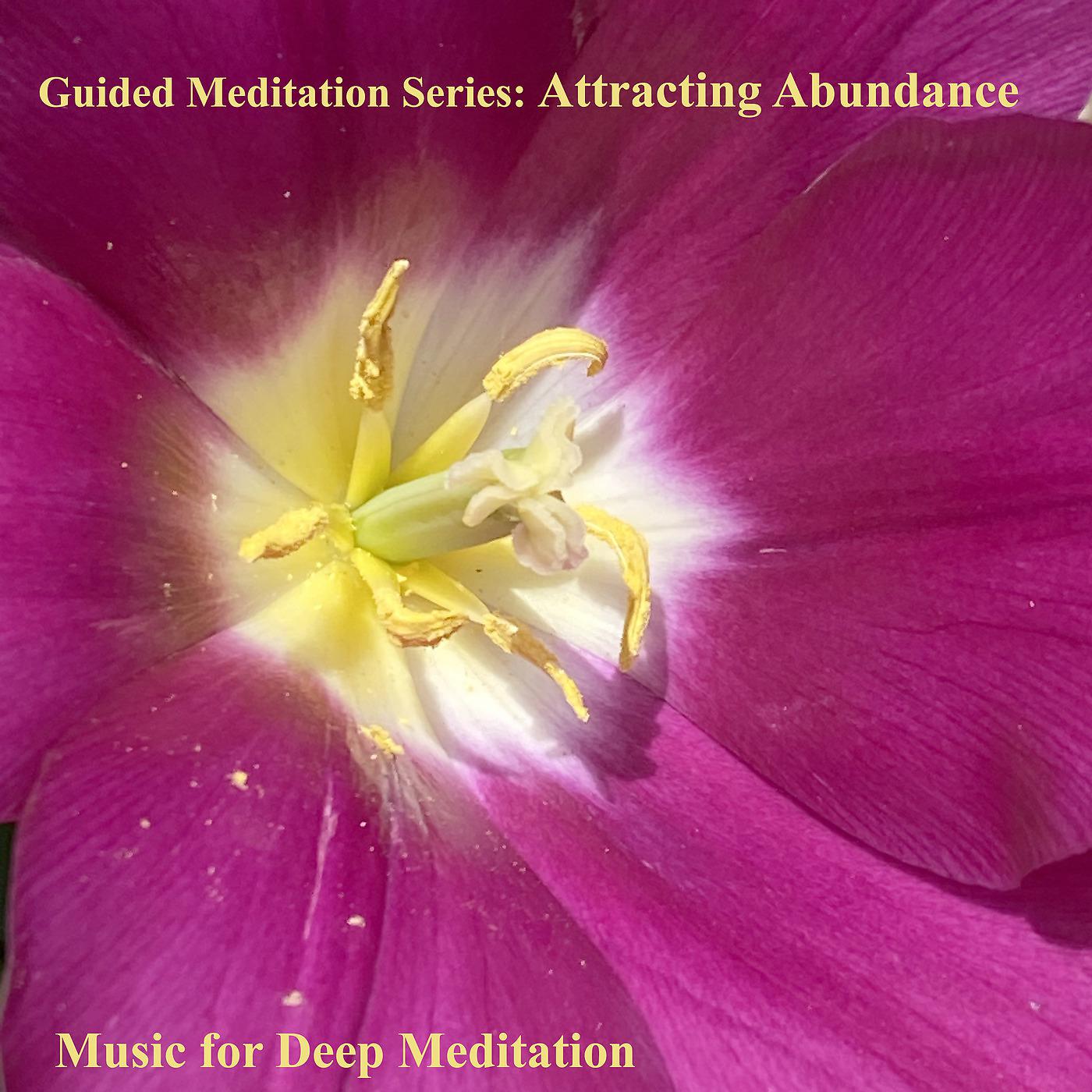 Постер альбома Guided Meditation Series: Attracting Abundance