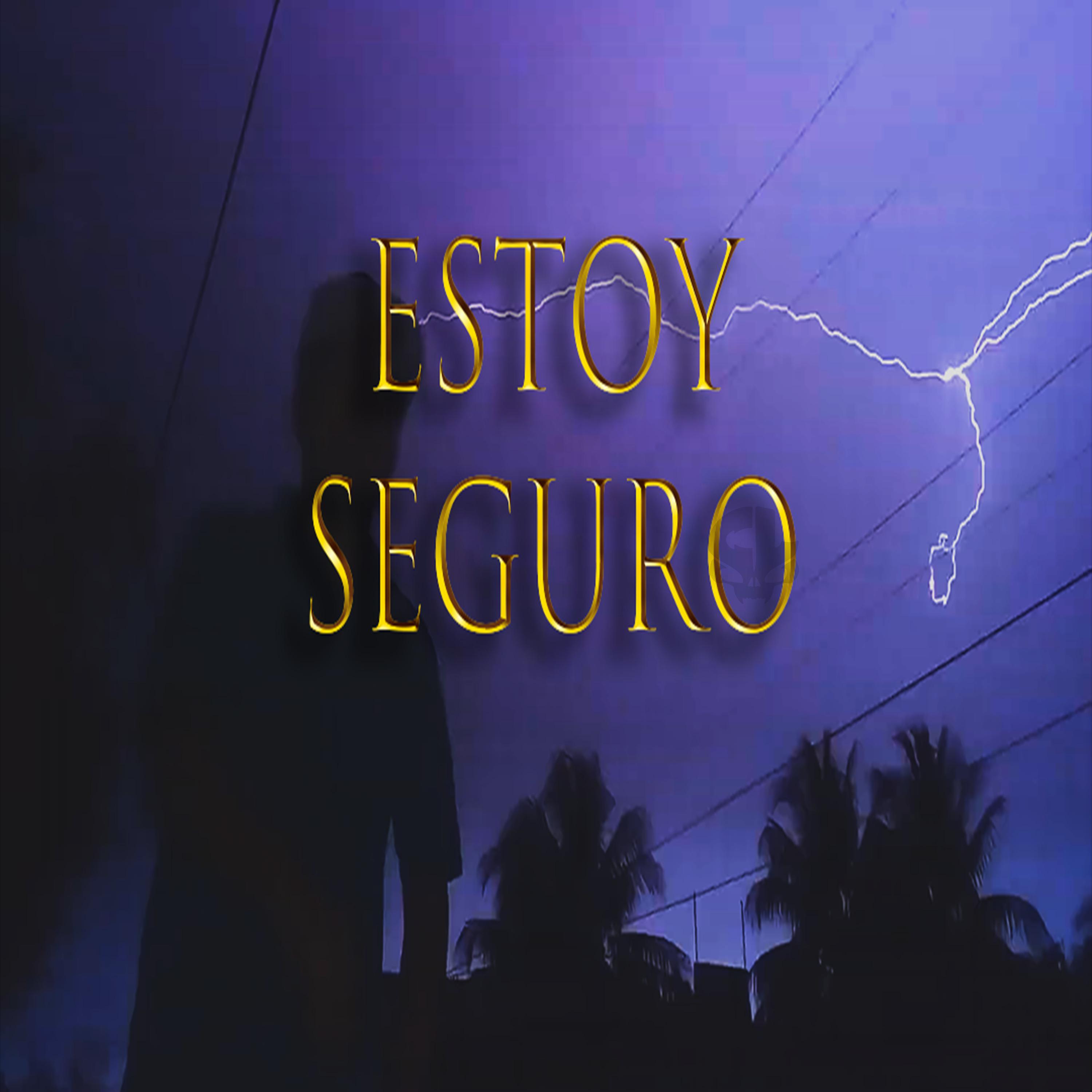 Постер альбома Estoy Seguro