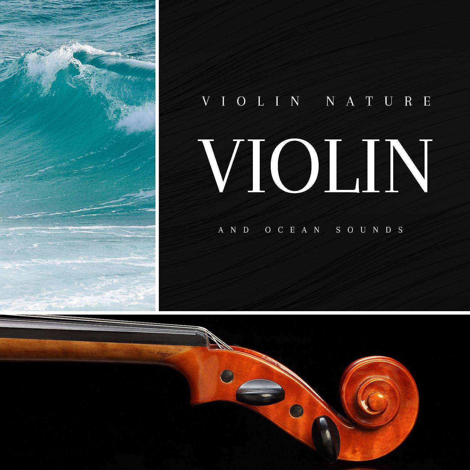 Постер альбома Violin and Ocean Sounds
