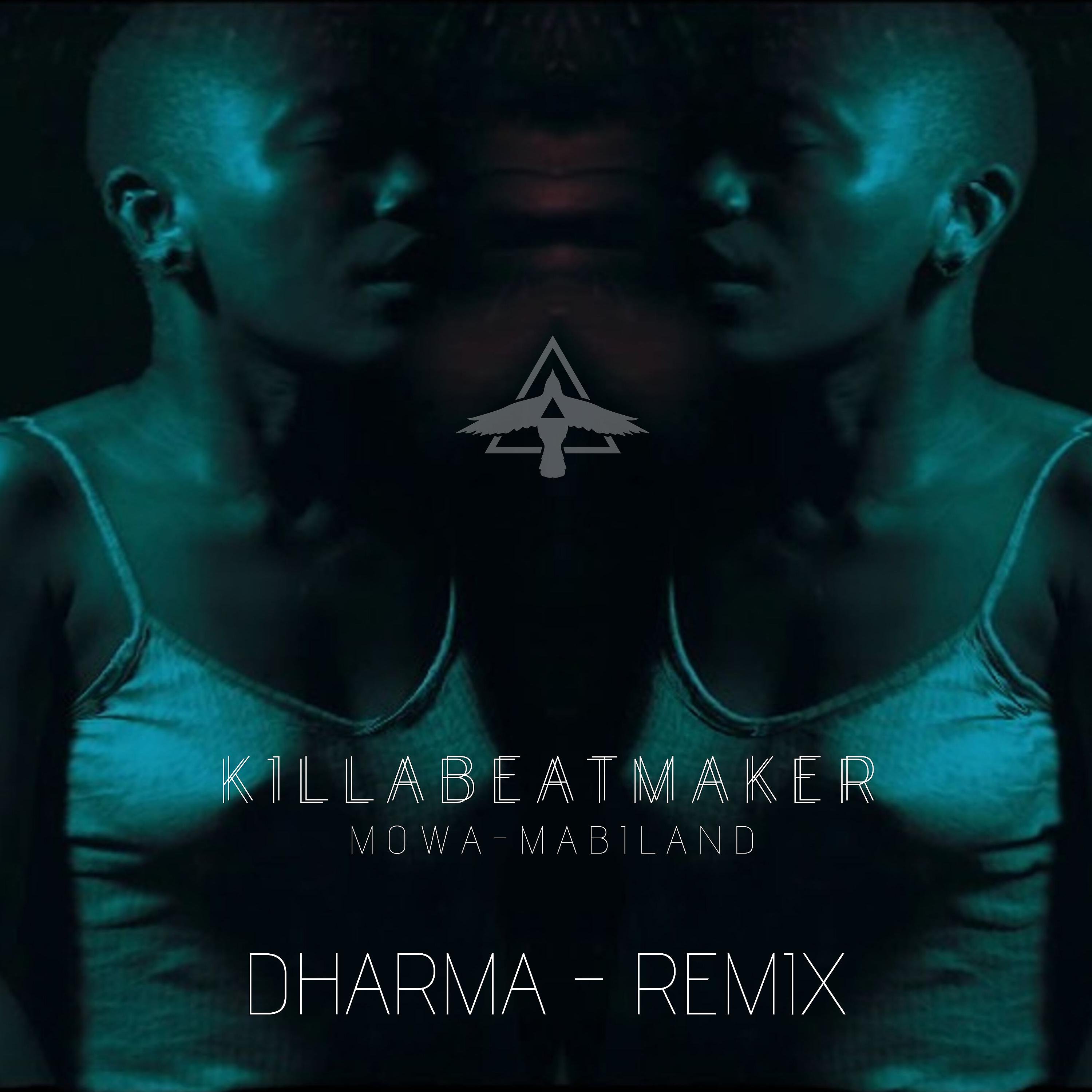 Постер альбома Dharma (Remix)