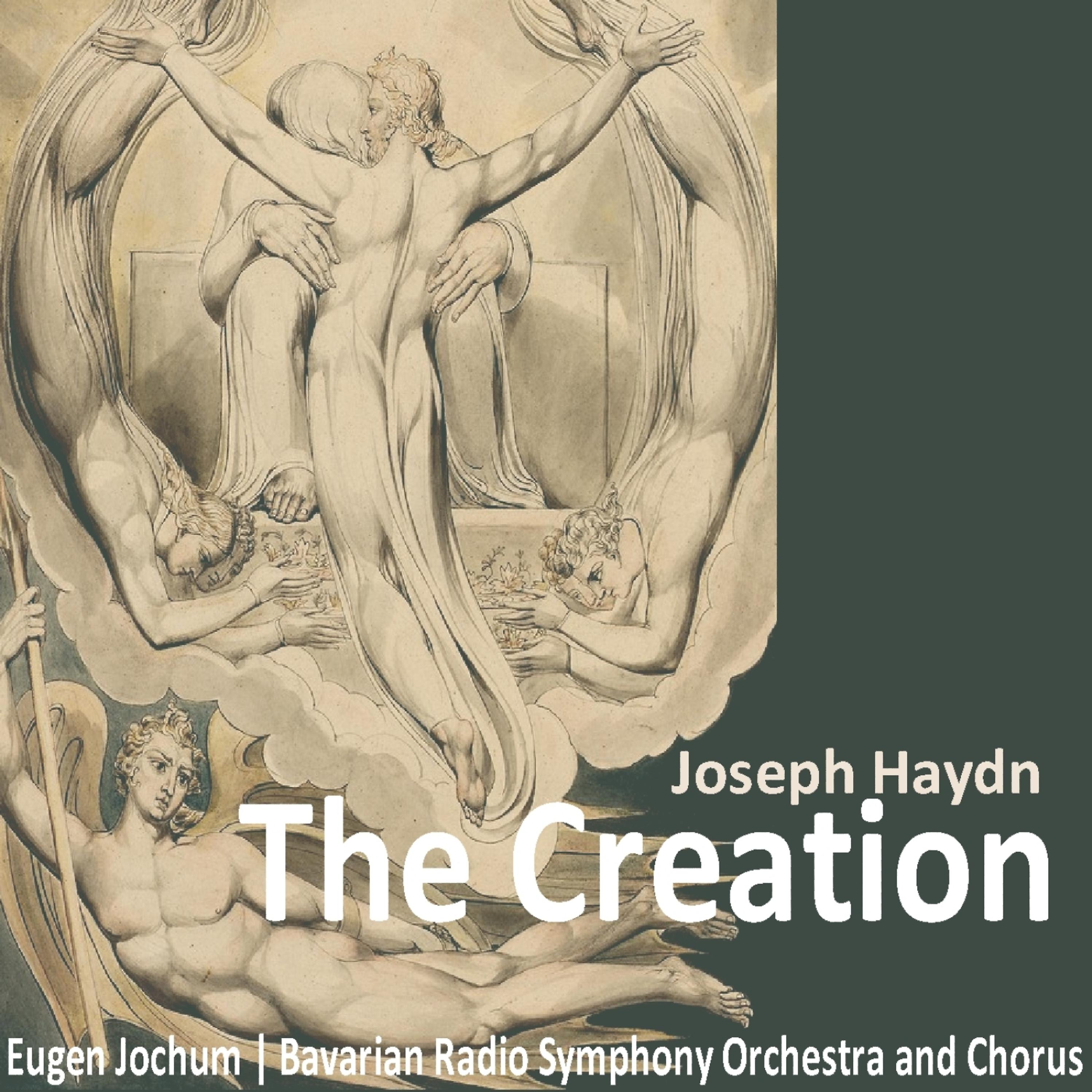 Постер альбома Haydn: The Creation