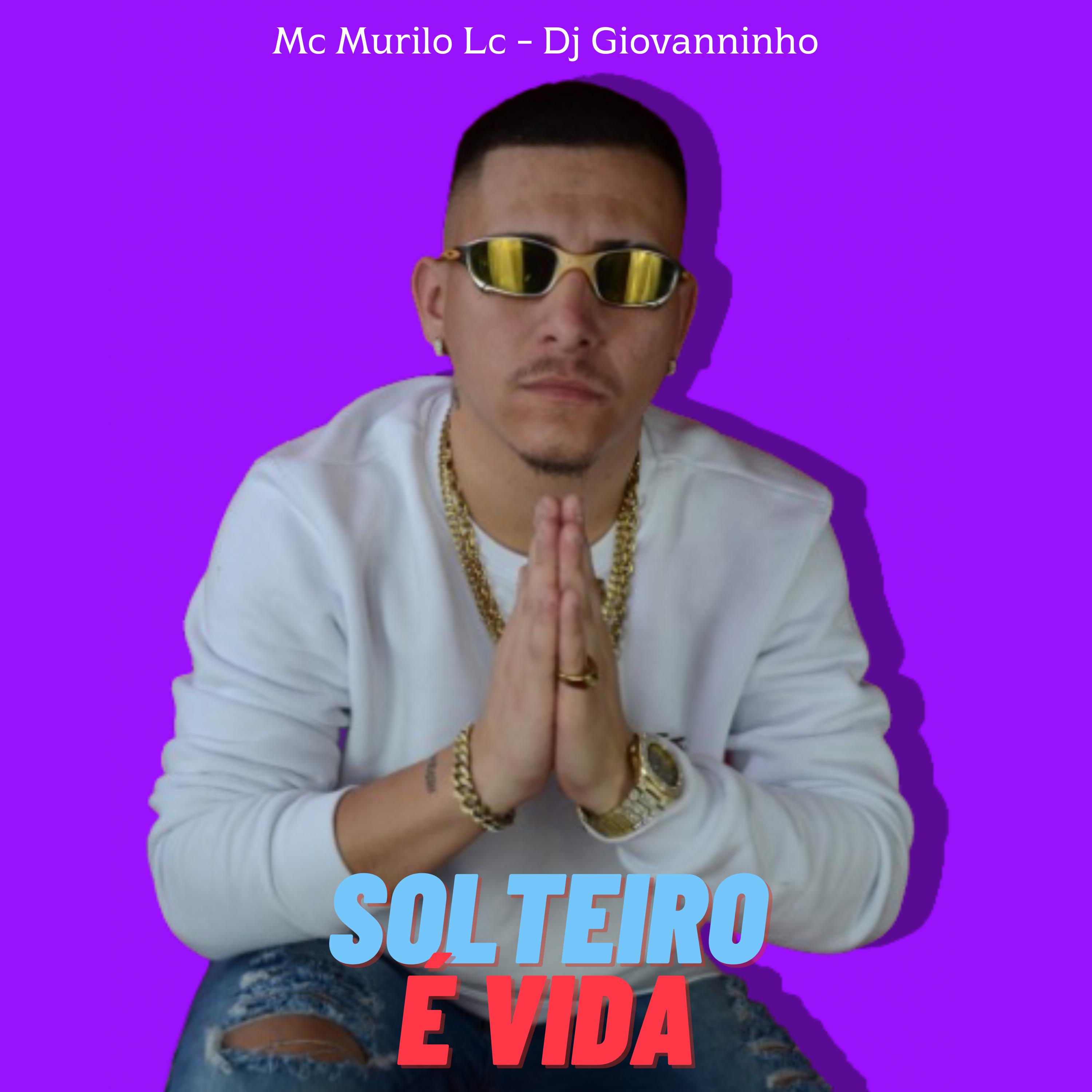 Постер альбома Solteiro É Vida