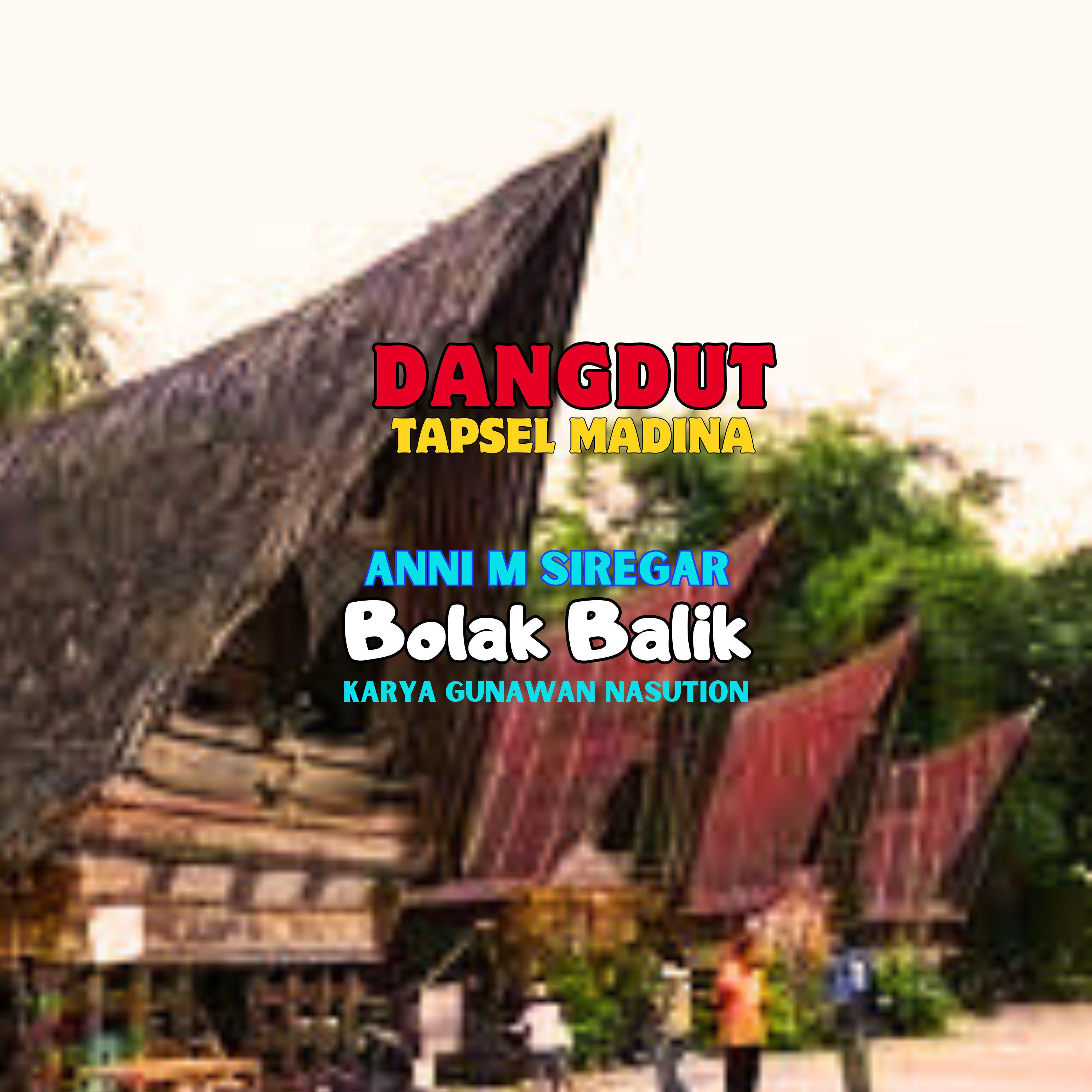 Постер альбома Bolak Balik