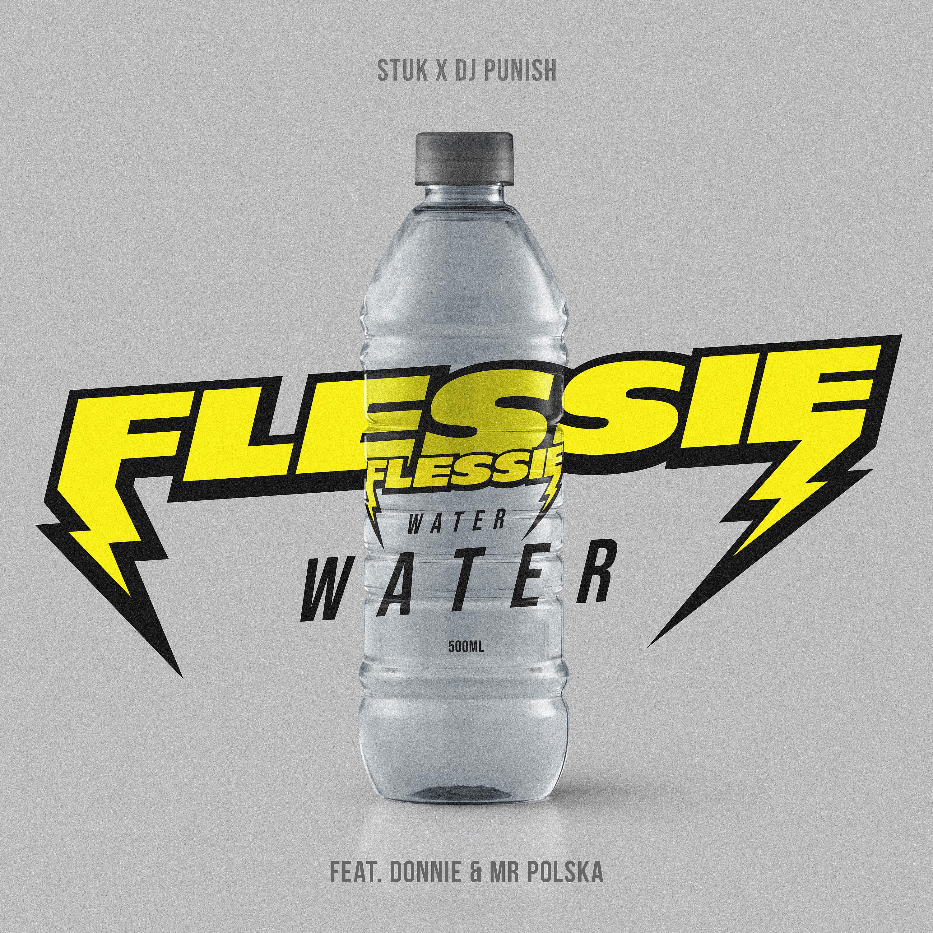 Постер альбома Flessie Water (feat. Donnie & Mr. Polska)