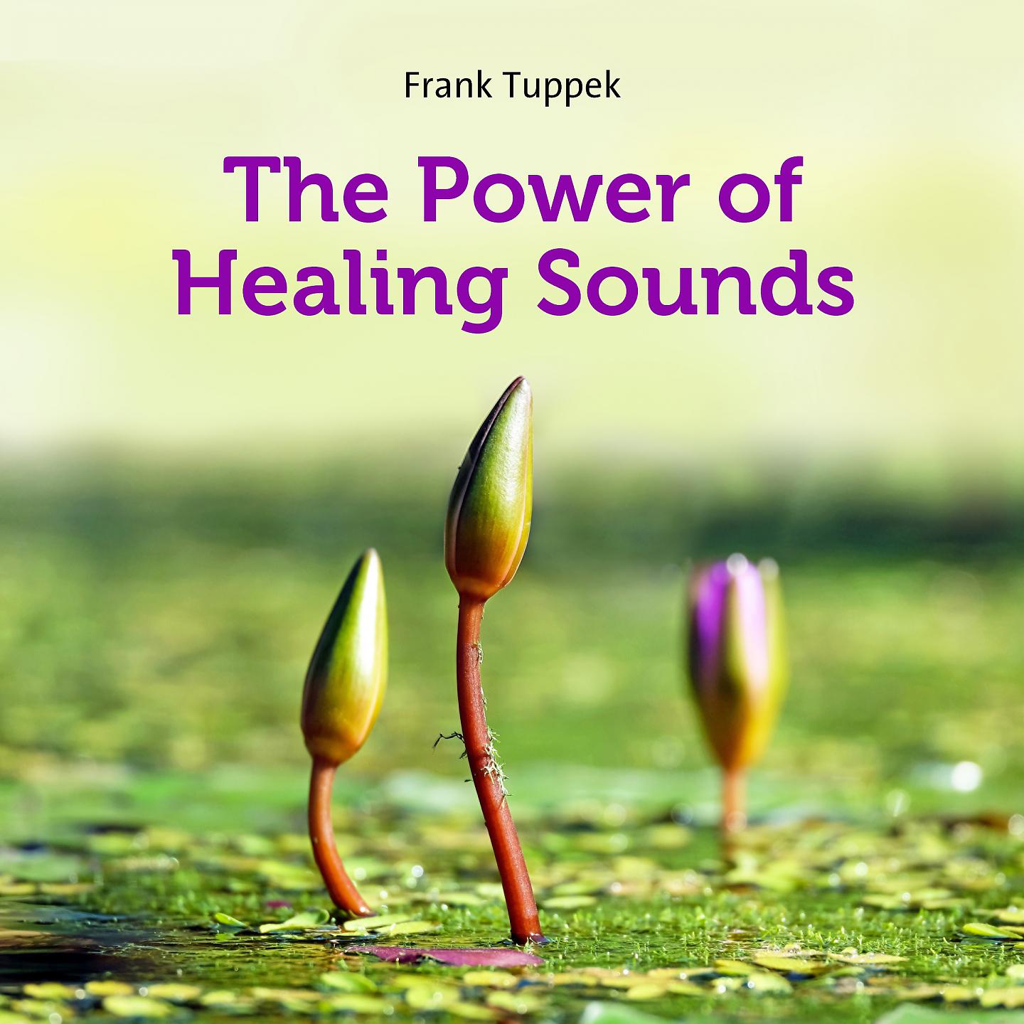 Постер альбома The power of healing sounds