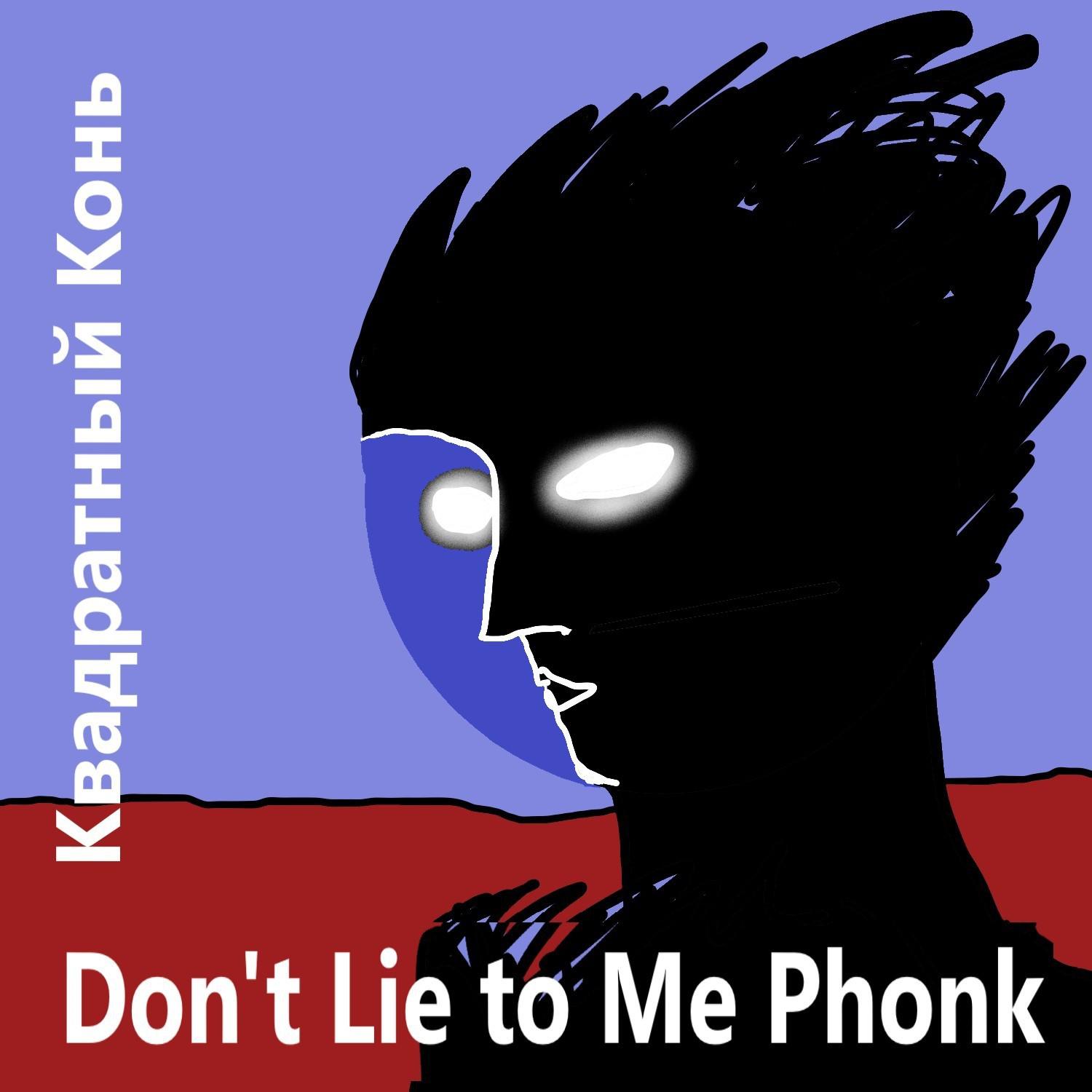 Постер альбома Don't Lie to Me Phonk