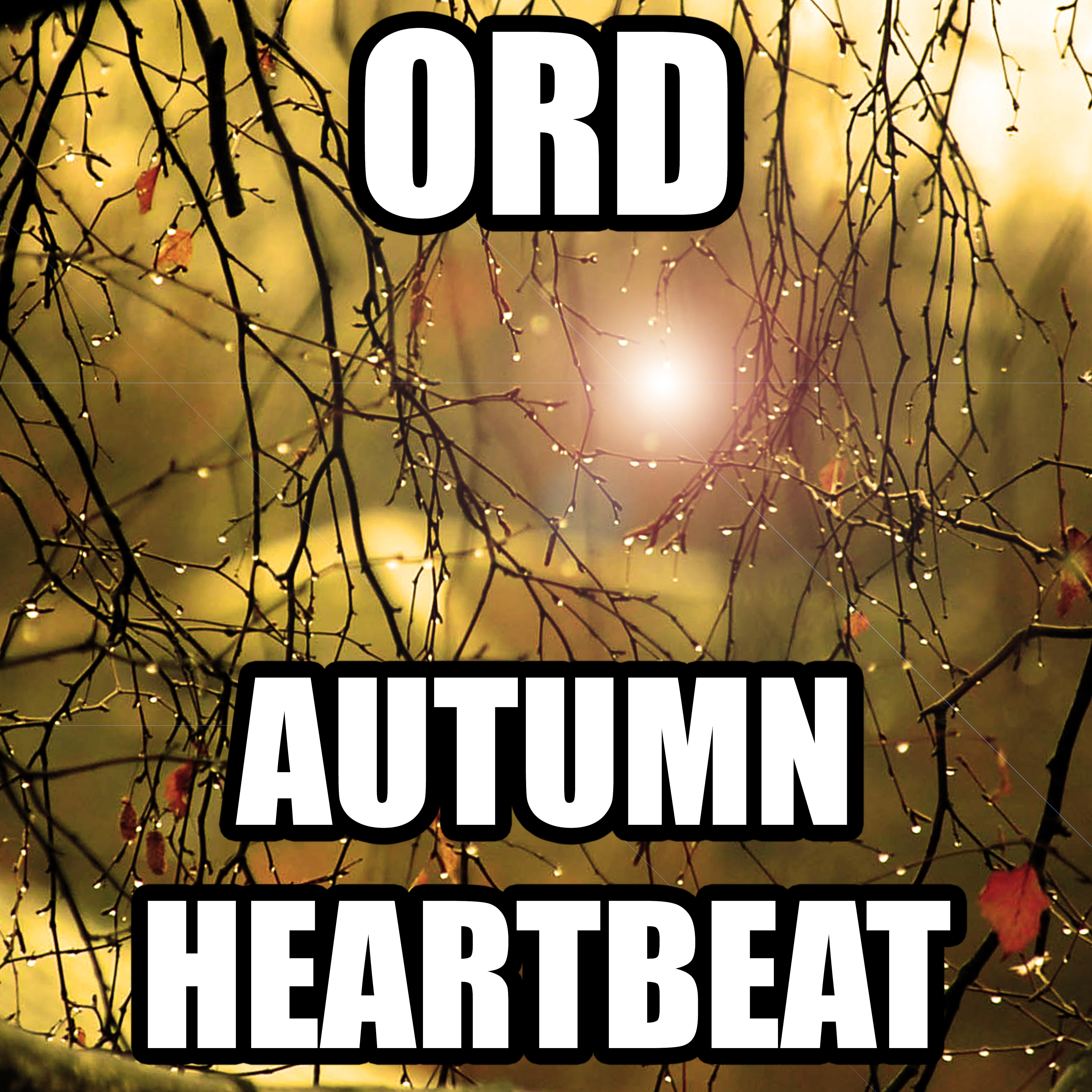 Постер альбома Autumn Heartbeat