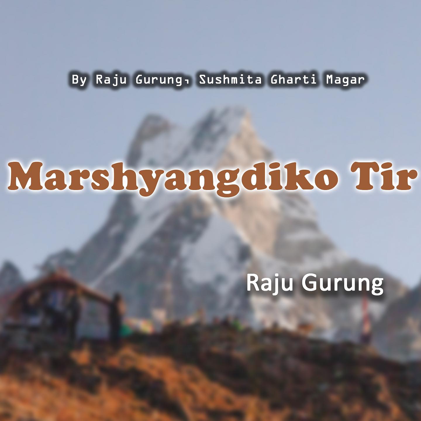 Постер альбома Marshyangdiko Tir