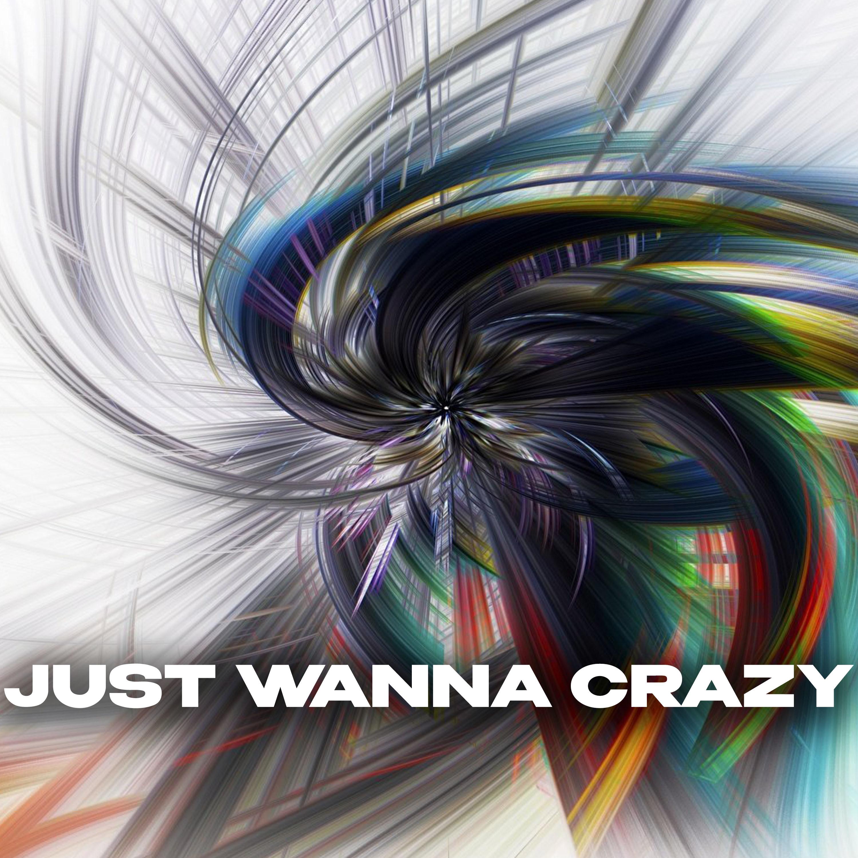 Постер альбома Just Wanna Crazy