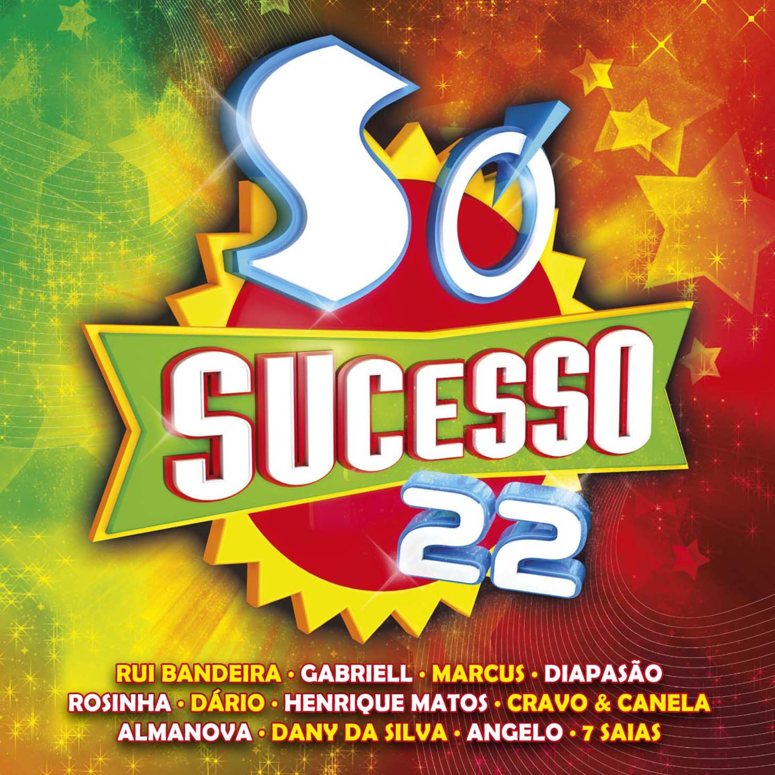Постер альбома Só Sucesso 22