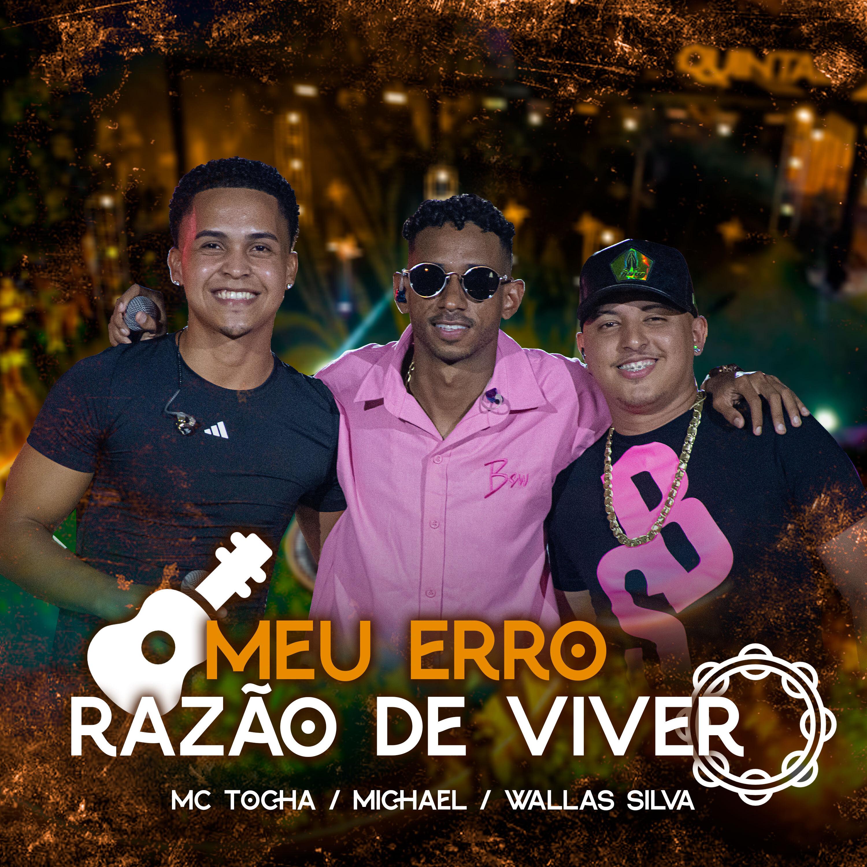 Постер альбома Meu Erro / Razão de Viver